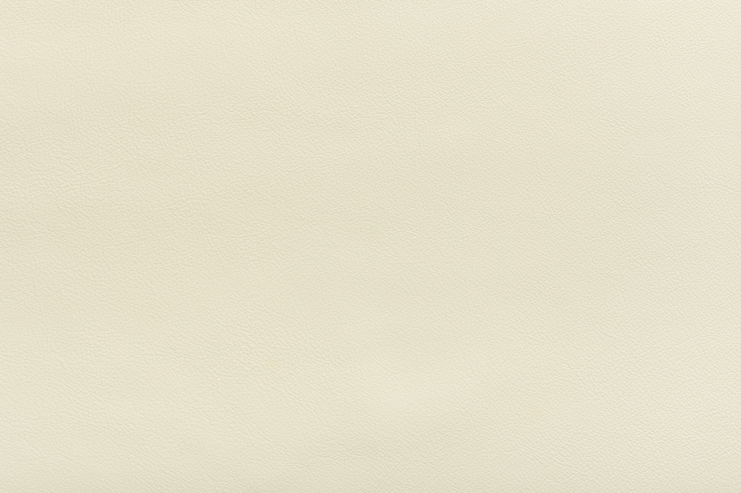 SNAP - All White On the Night | SNA-02