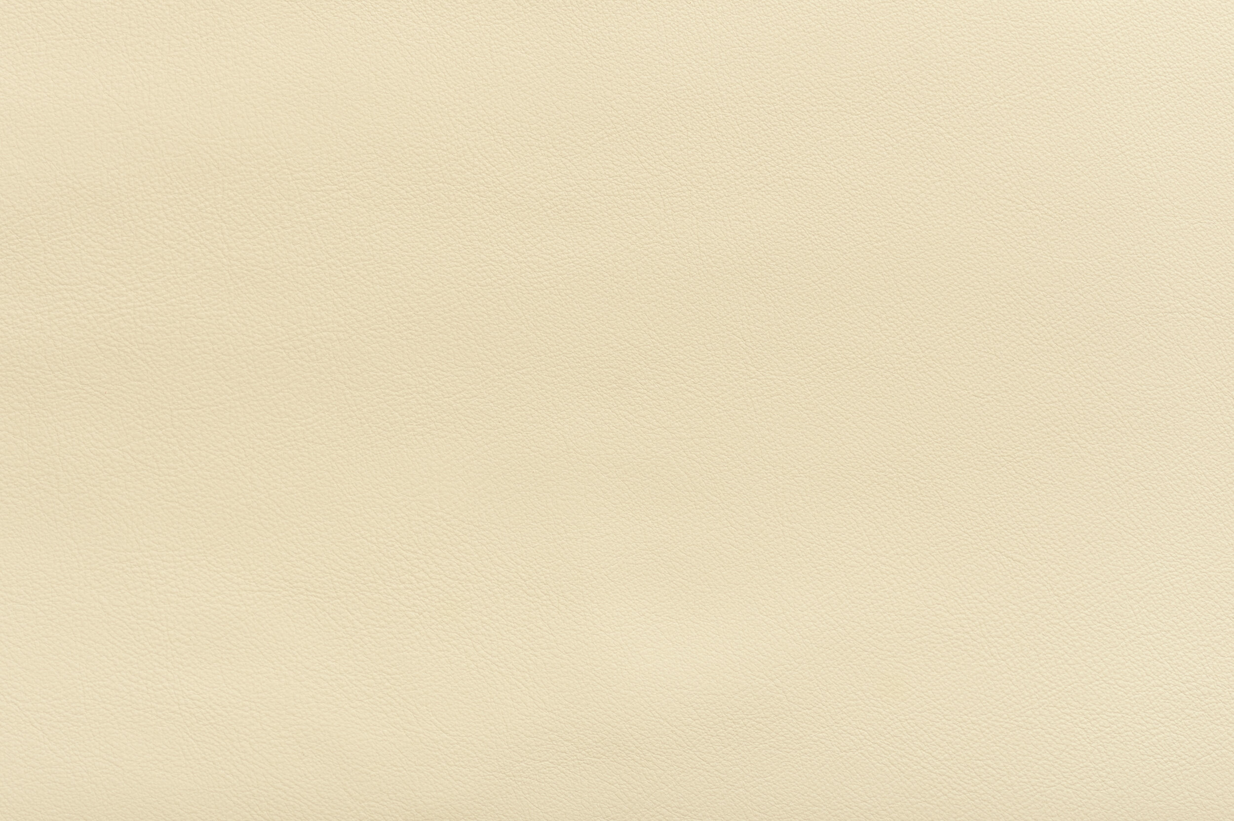 SNAP - Shell Yeah | SNA-04