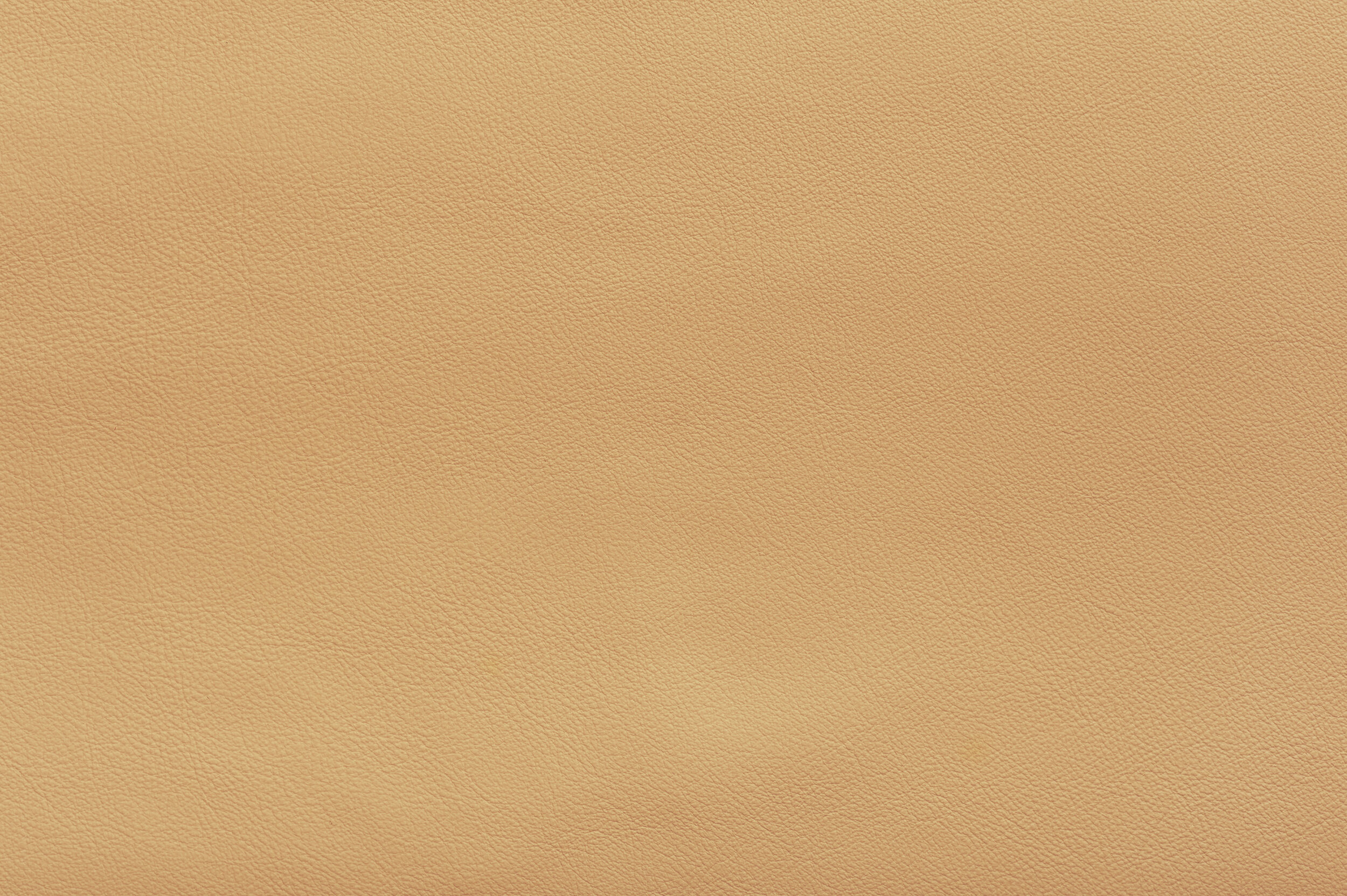 SNAP - Butter Me Up | SNA-15