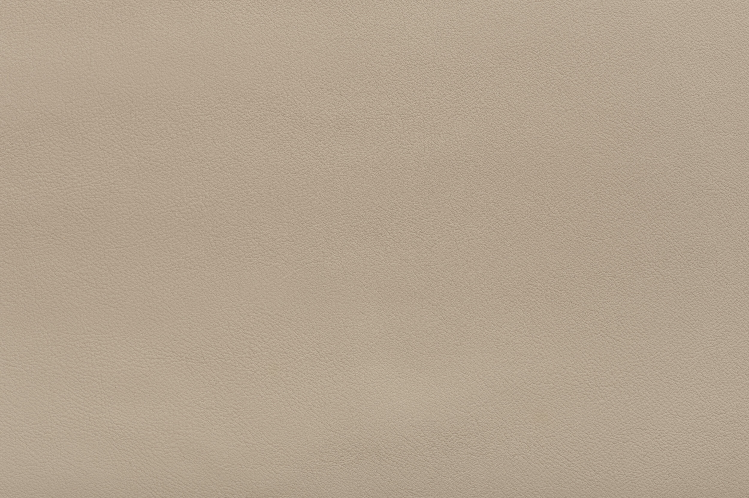 SNAP - Rolling Stone | SNA-08