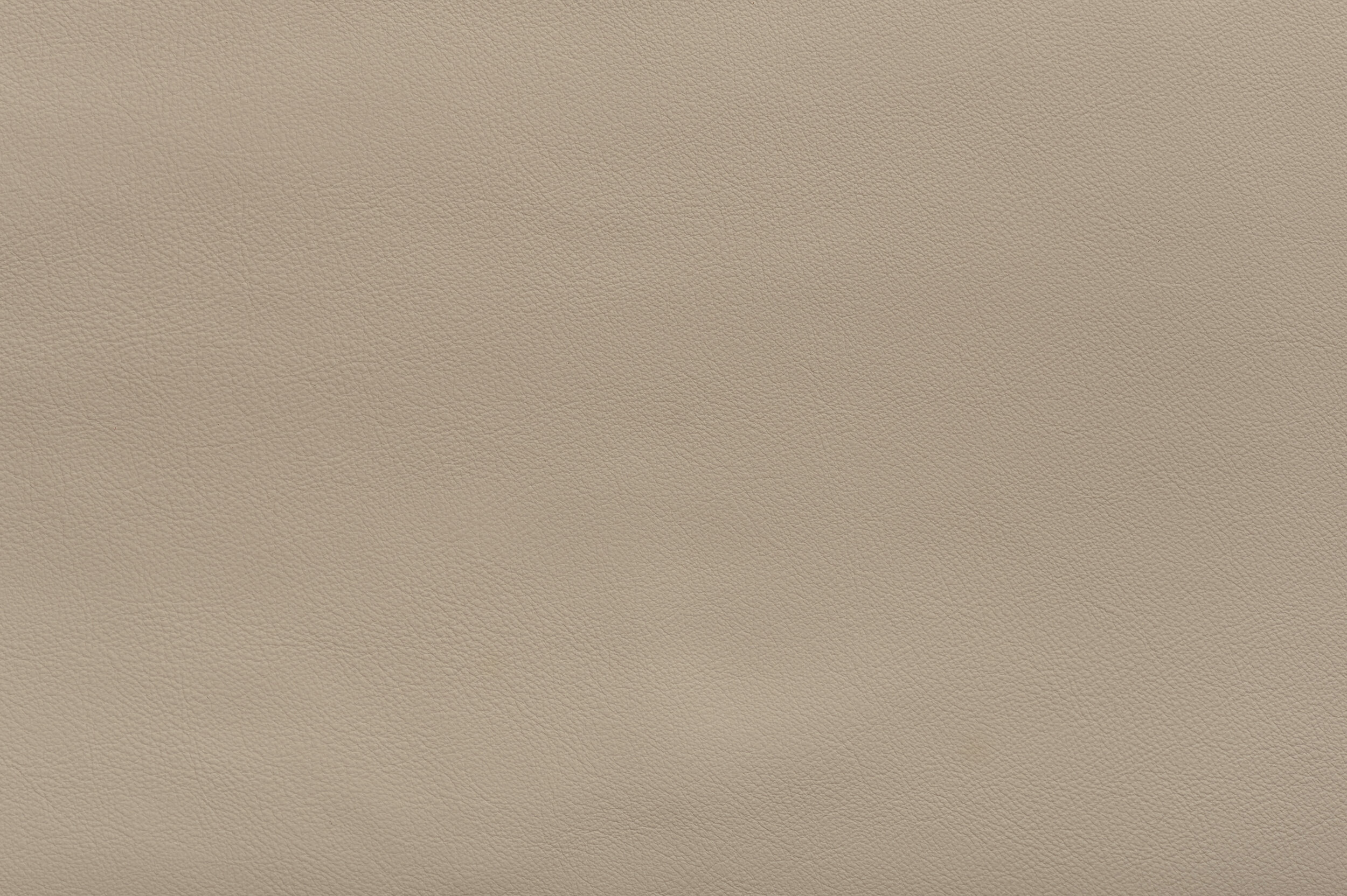 SNAP - Taupe of the Class | SNA-33