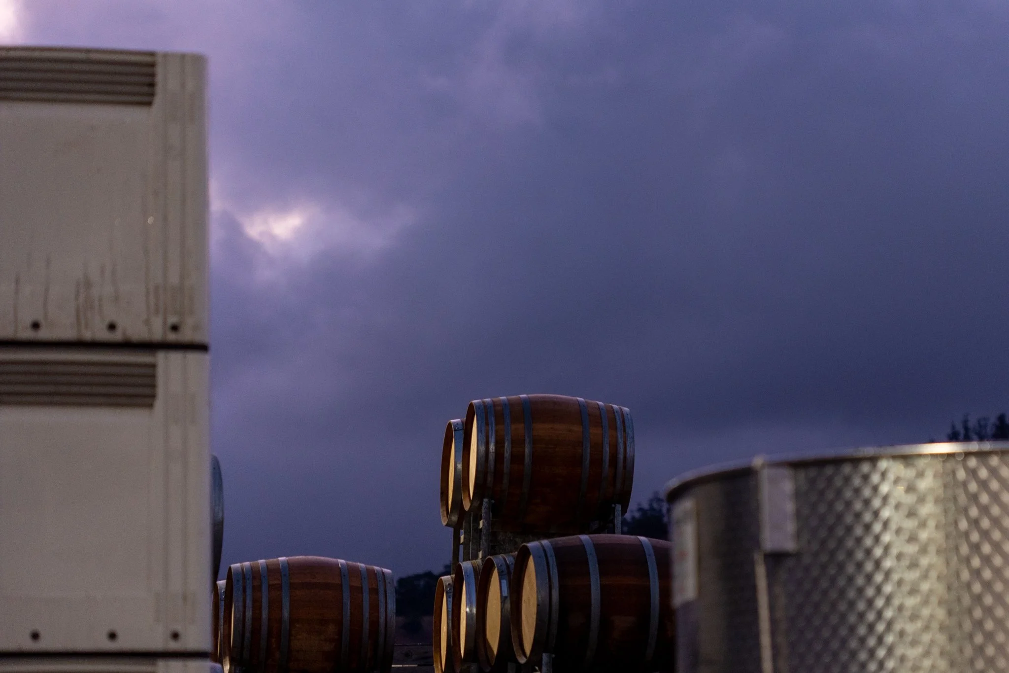 Haddow & Dineen-163.jpg