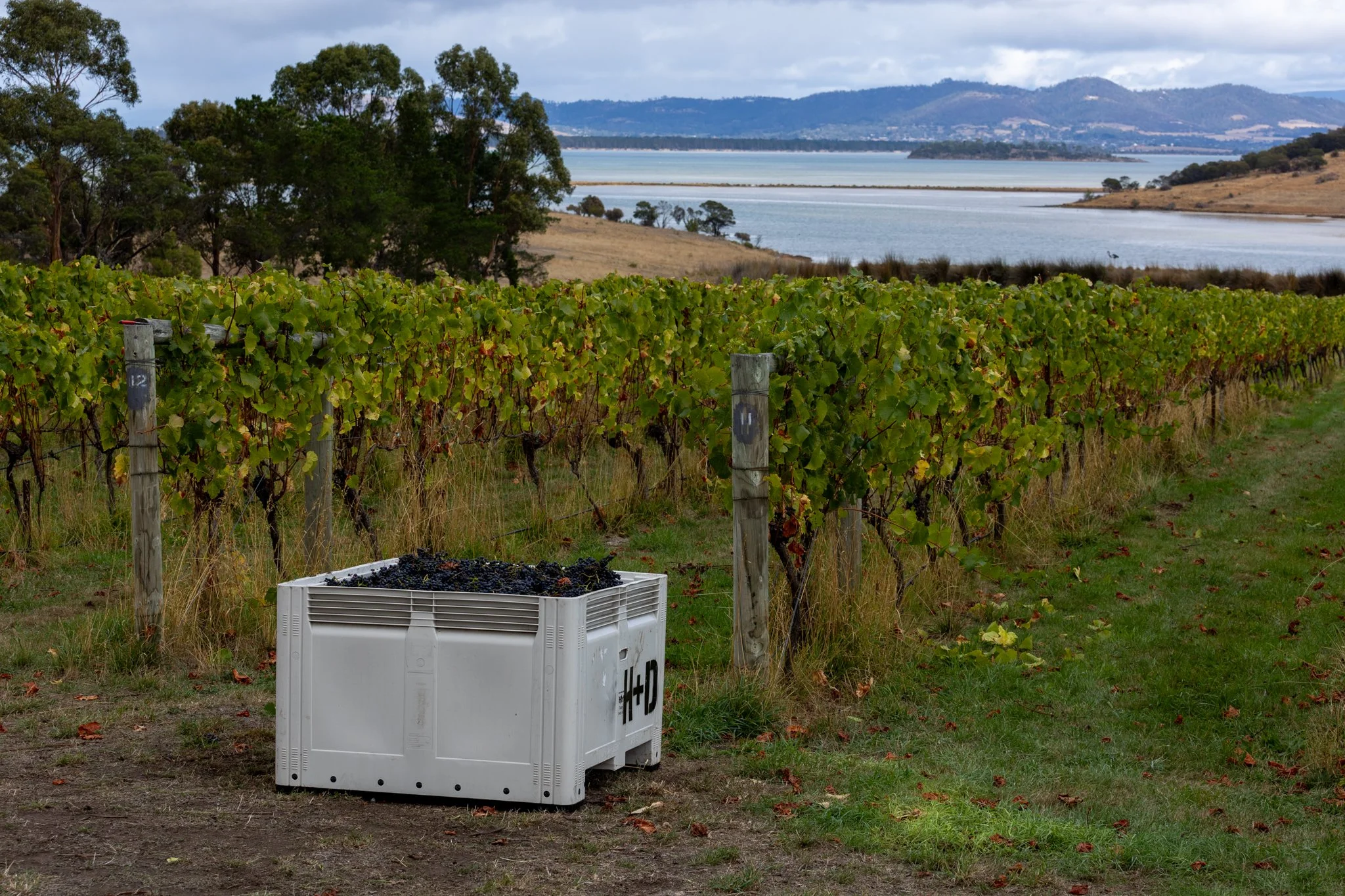 Haddow & Dineen-144.jpg