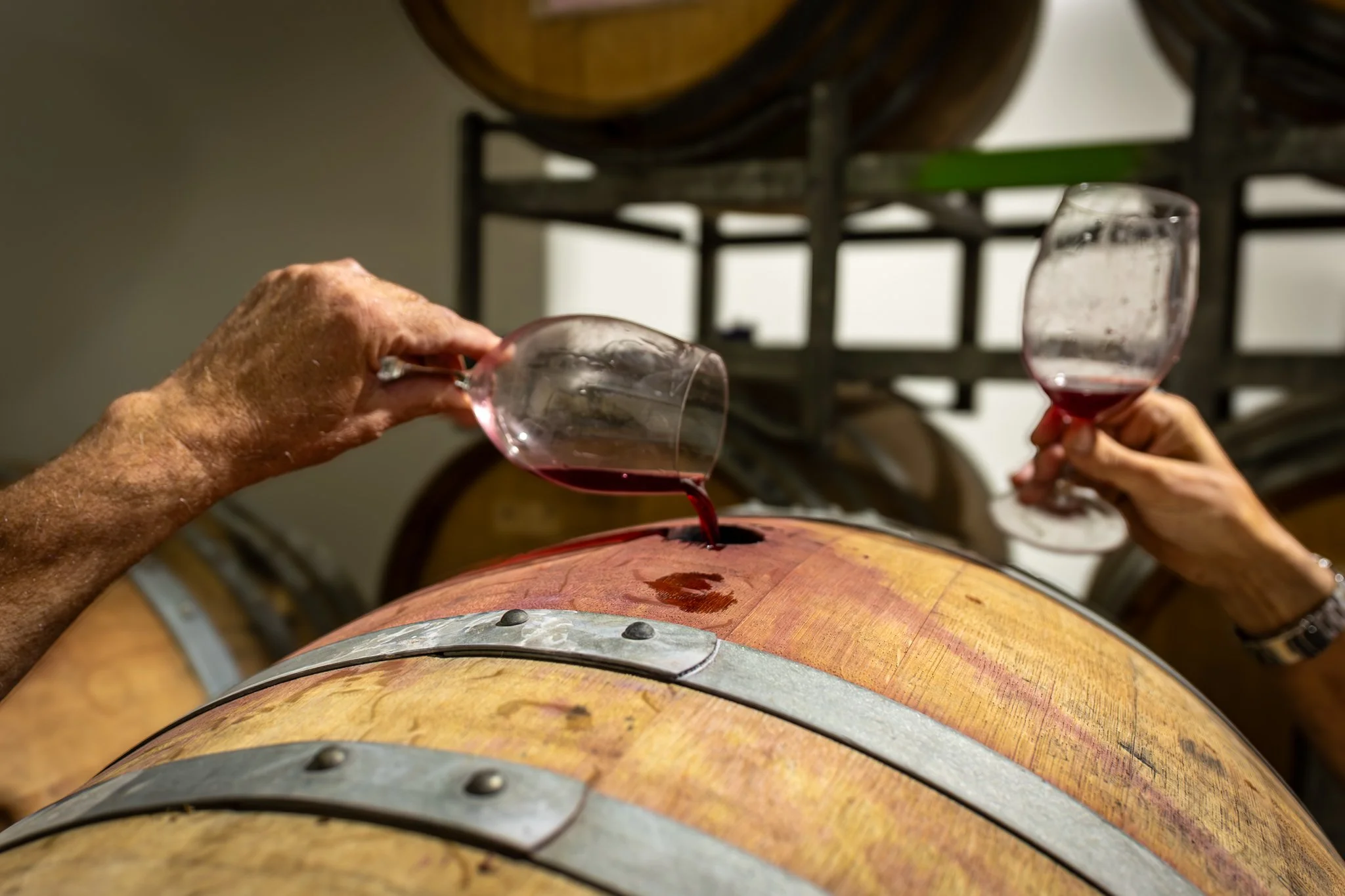 Haddow & Dineen-202.jpg