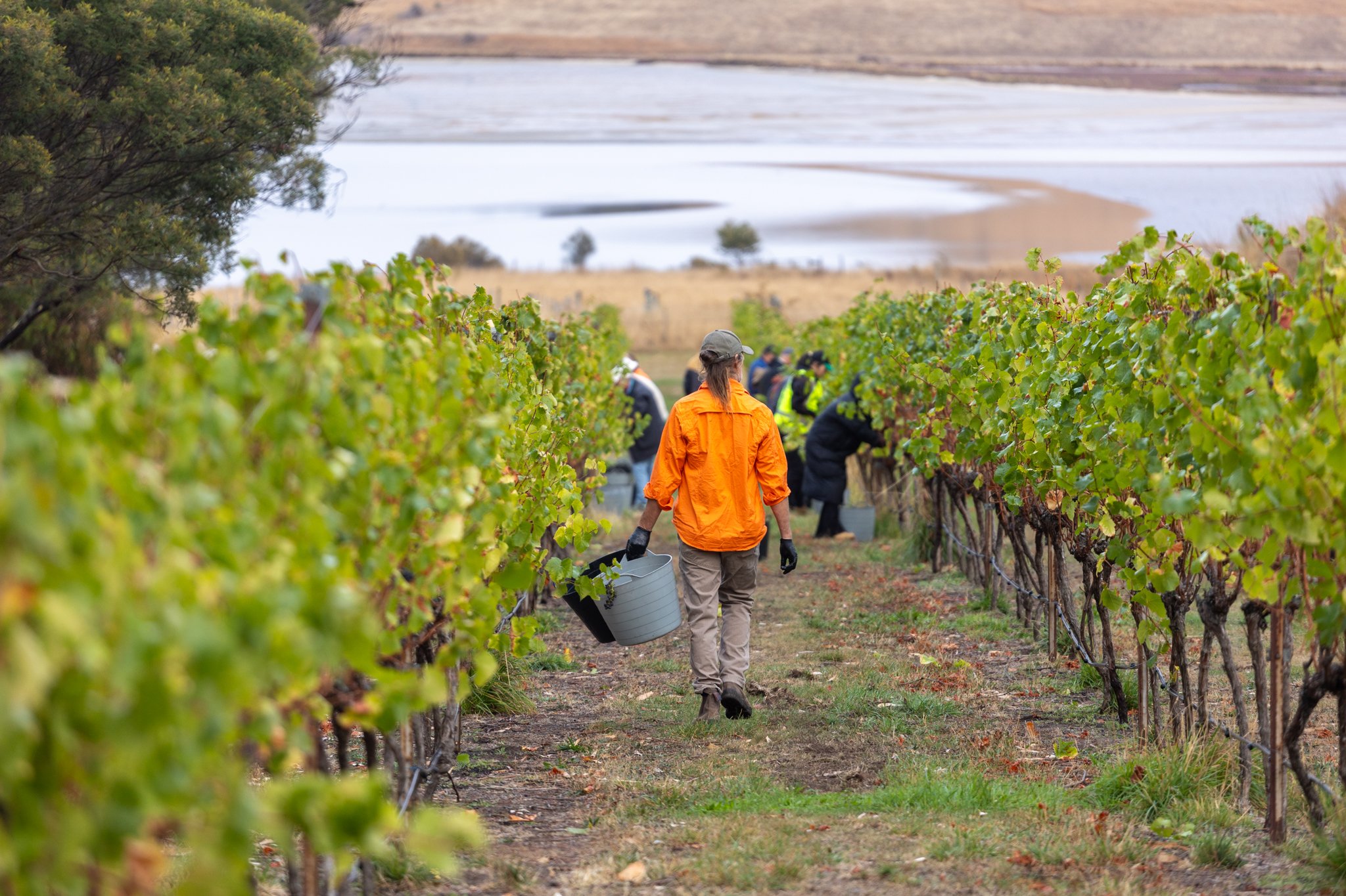 Haddow & Dineen-005.jpg