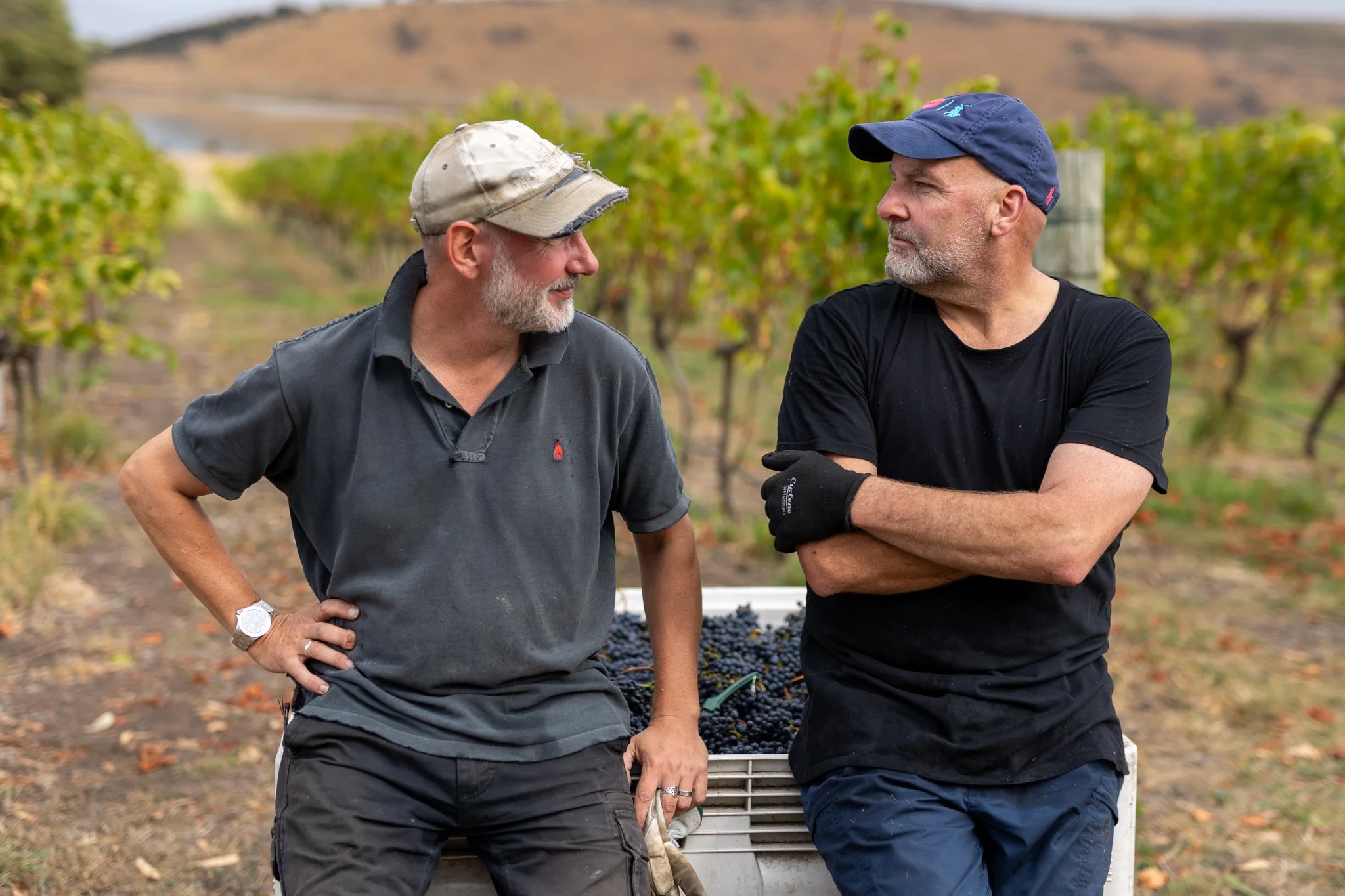 Haddow & Dineen-119.jpg