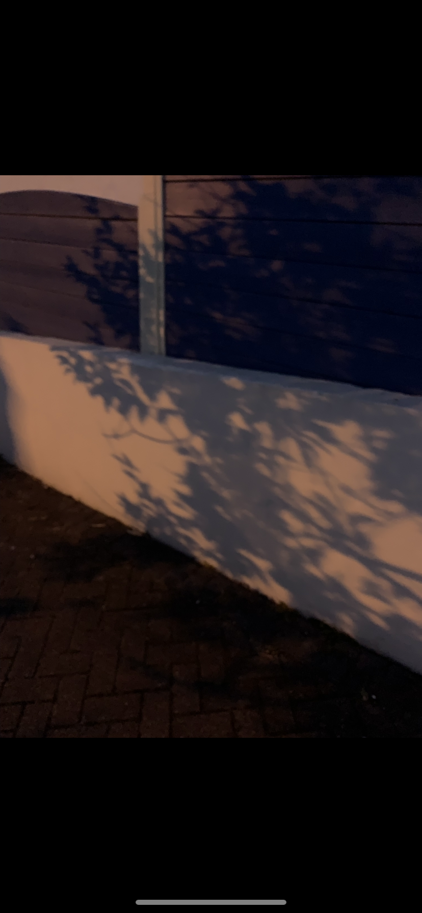 IMG_0186.PNG