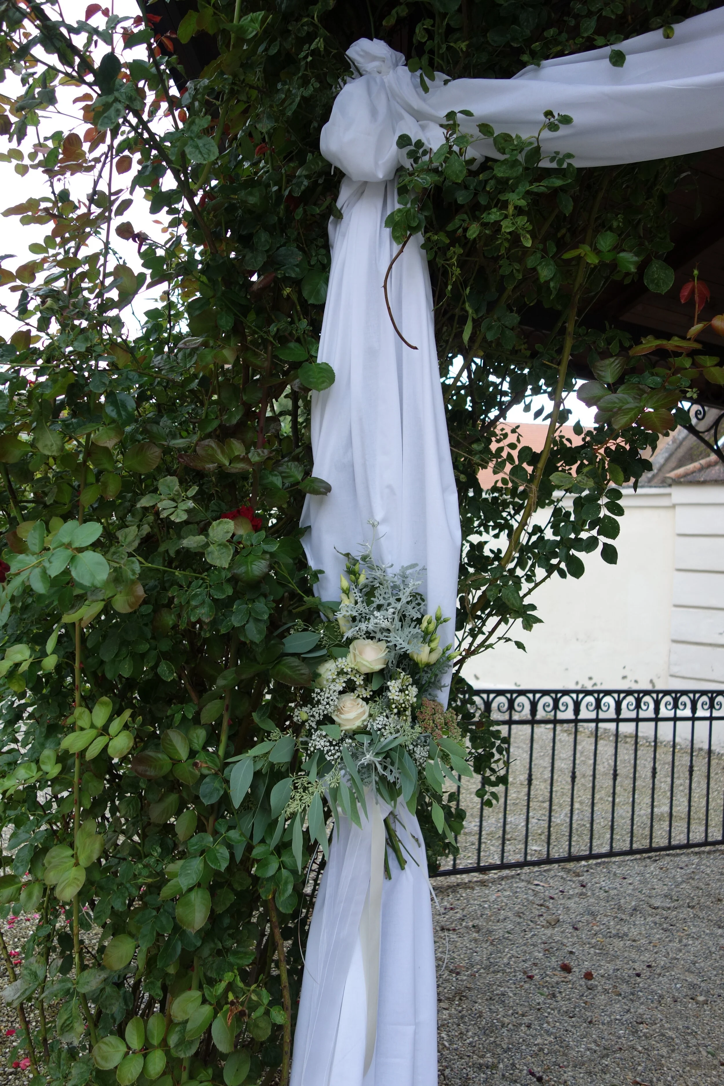 DSC09064.JPG