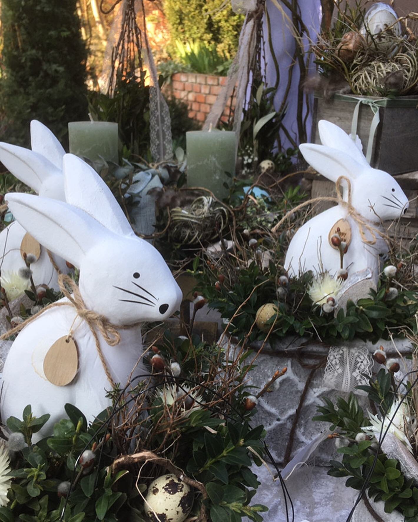 Bei uns sind die Hasen los 🐰🐰🐰
....happy Sunday 🌸

Fr&uuml;hlingserwachen am Blauen Bauernhof 
Do 23.3. 9-18h
Fr 24.3. 9-18h
Sa 25.3. 9-15h
Willkommen 🌸

#fr&uuml;hling#blumen#t&uuml;rkranz#hase#ostern#flowers#floral#nature#gl&uuml;cklich#happy#