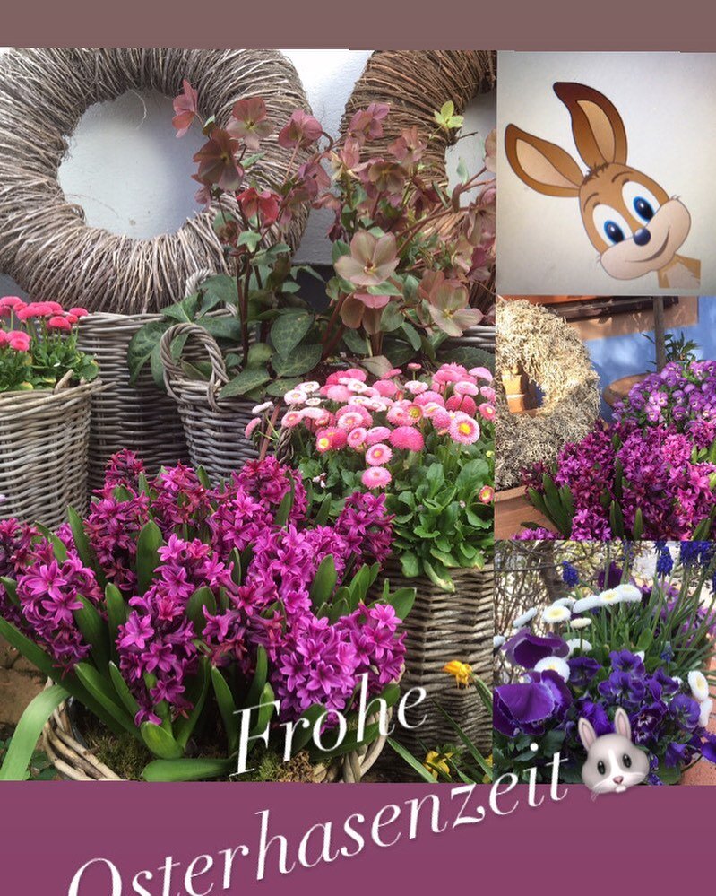 Wir w&uuml;nschen euch ein frohes Osterfest 🌷🐰mit Sonnenschein, Vogelgezwitscher und sch&ouml;nen Stunden mit euren Lieben 🌸💕🐇

#fr&uuml;hling#ostern#blumen#freude#nature#liebe#lachen #flowers#t&uuml;rkranz#hase