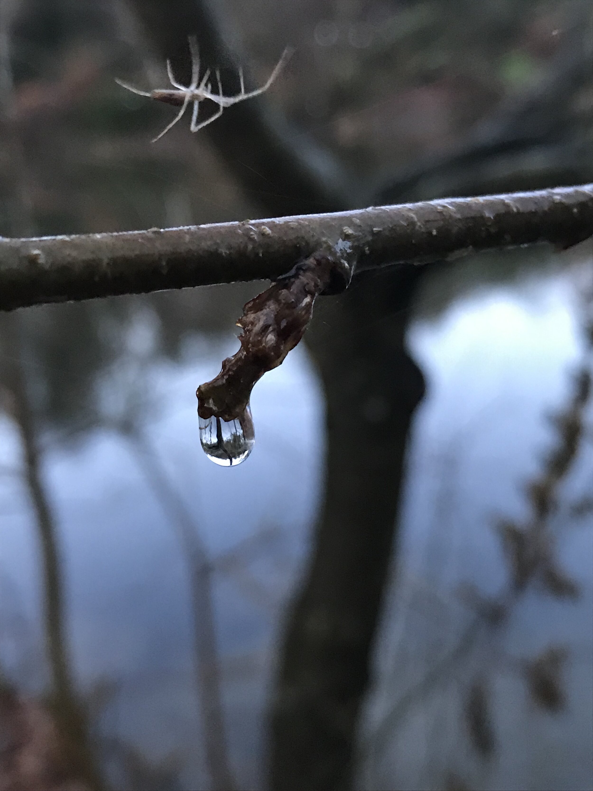 Conservation and farming for future generations