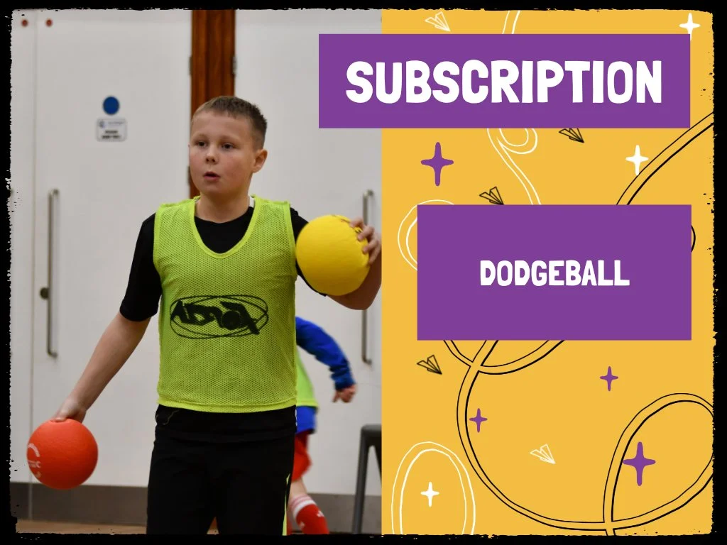 8. Subscription Dodgeball.jpg