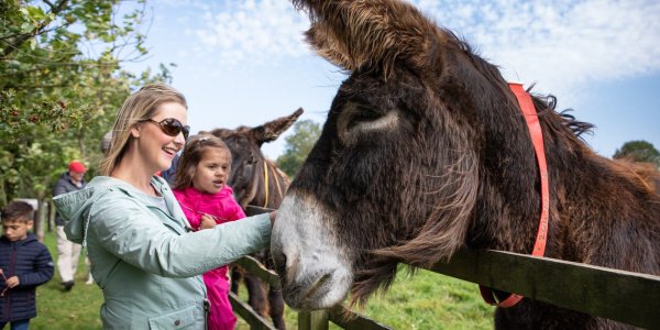 mum-daughter-meeting-donkeys-min.jpg