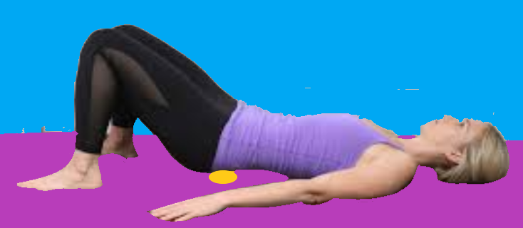Lumbar spine .png