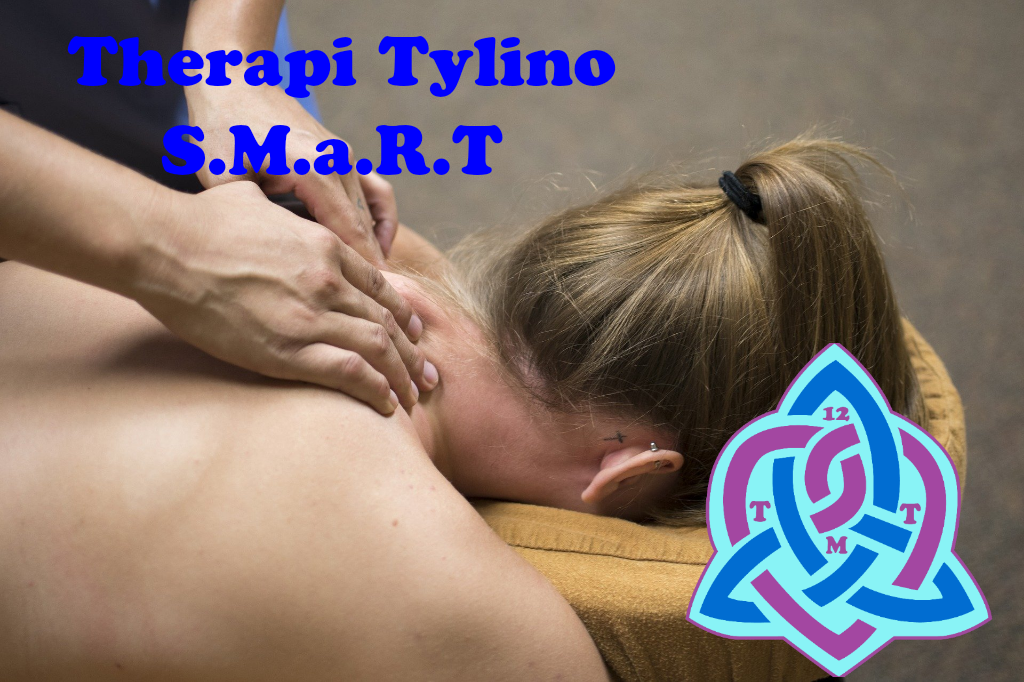Steward Bemærk Udfyld Qualities of a Professional Massage Therapist — Therapi Tylino