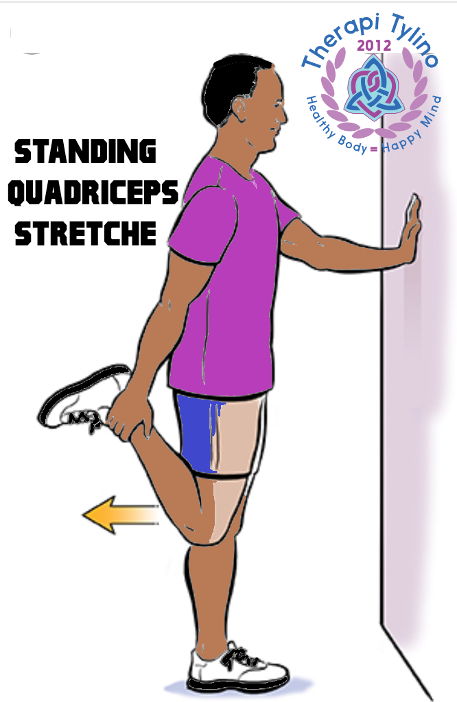 Appreciate your Quadriceps muscles — Therapi Tylino