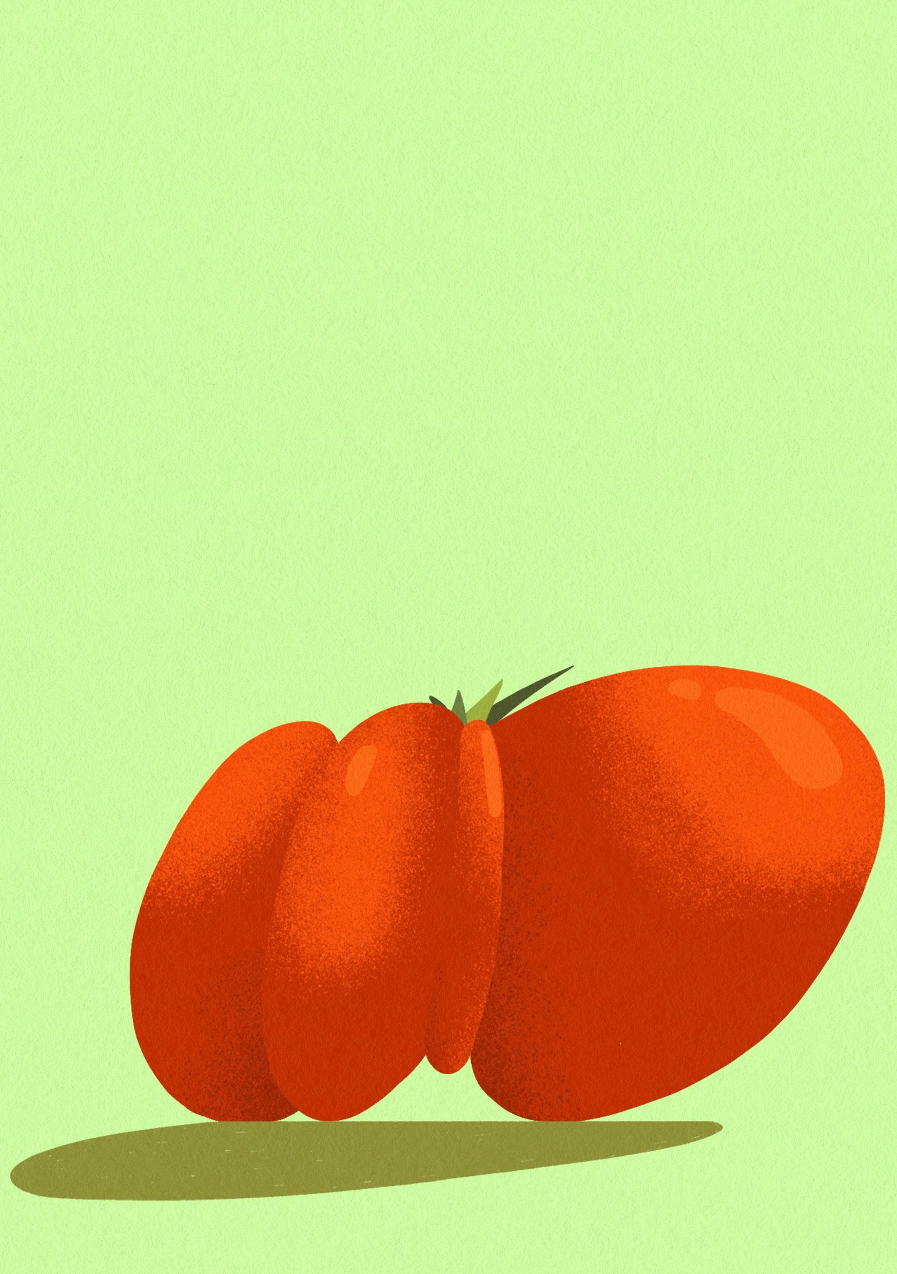 tomato-1-A5.jpg