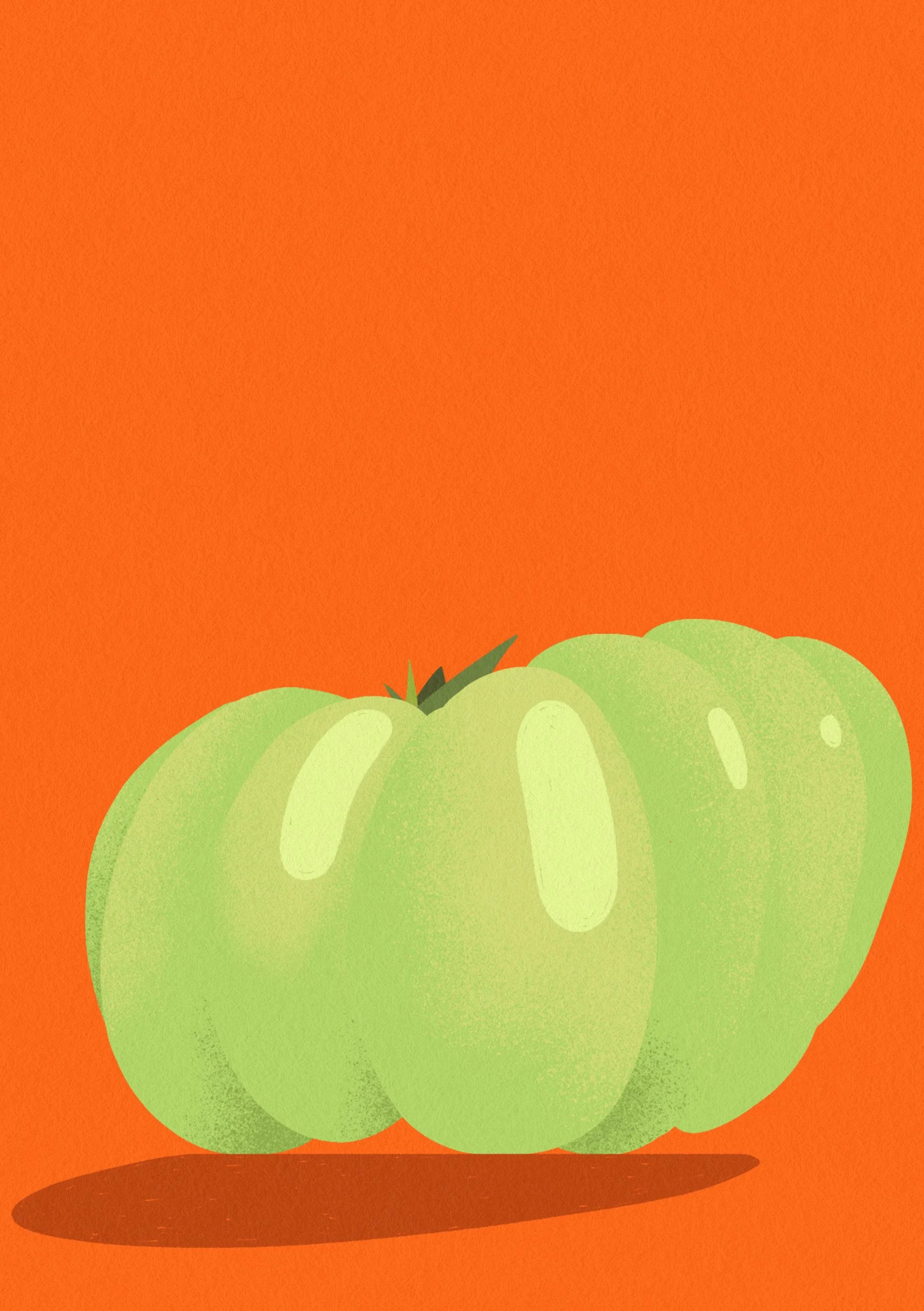 tomato-2-A5.jpg