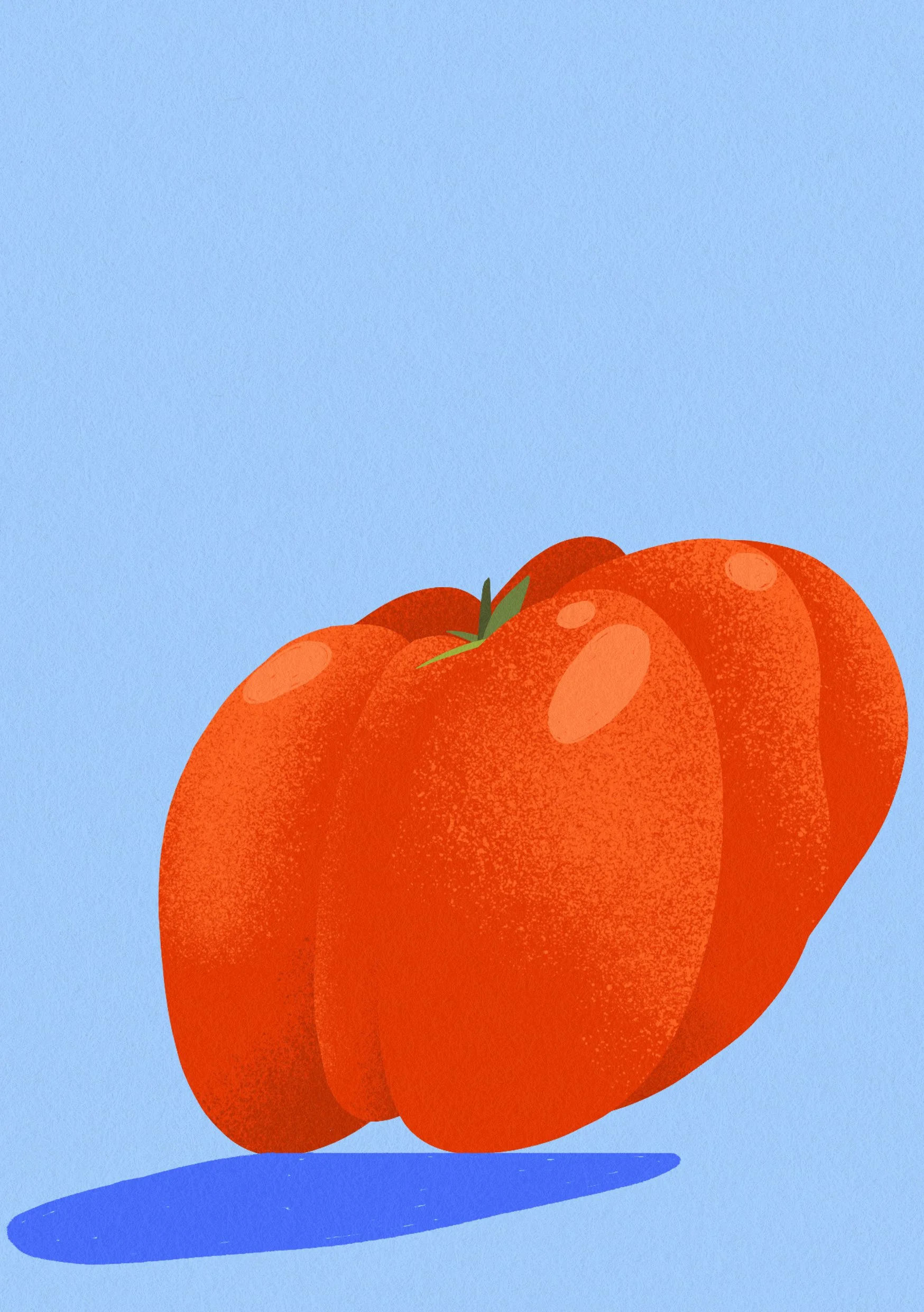 tomato-3-A5.jpg