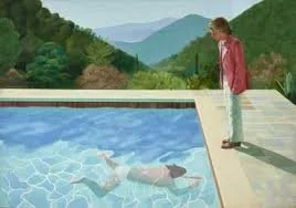 A girl standing next to a swimming pool looking at a dolphin swimming in the water, with green trees and mountains in the background.