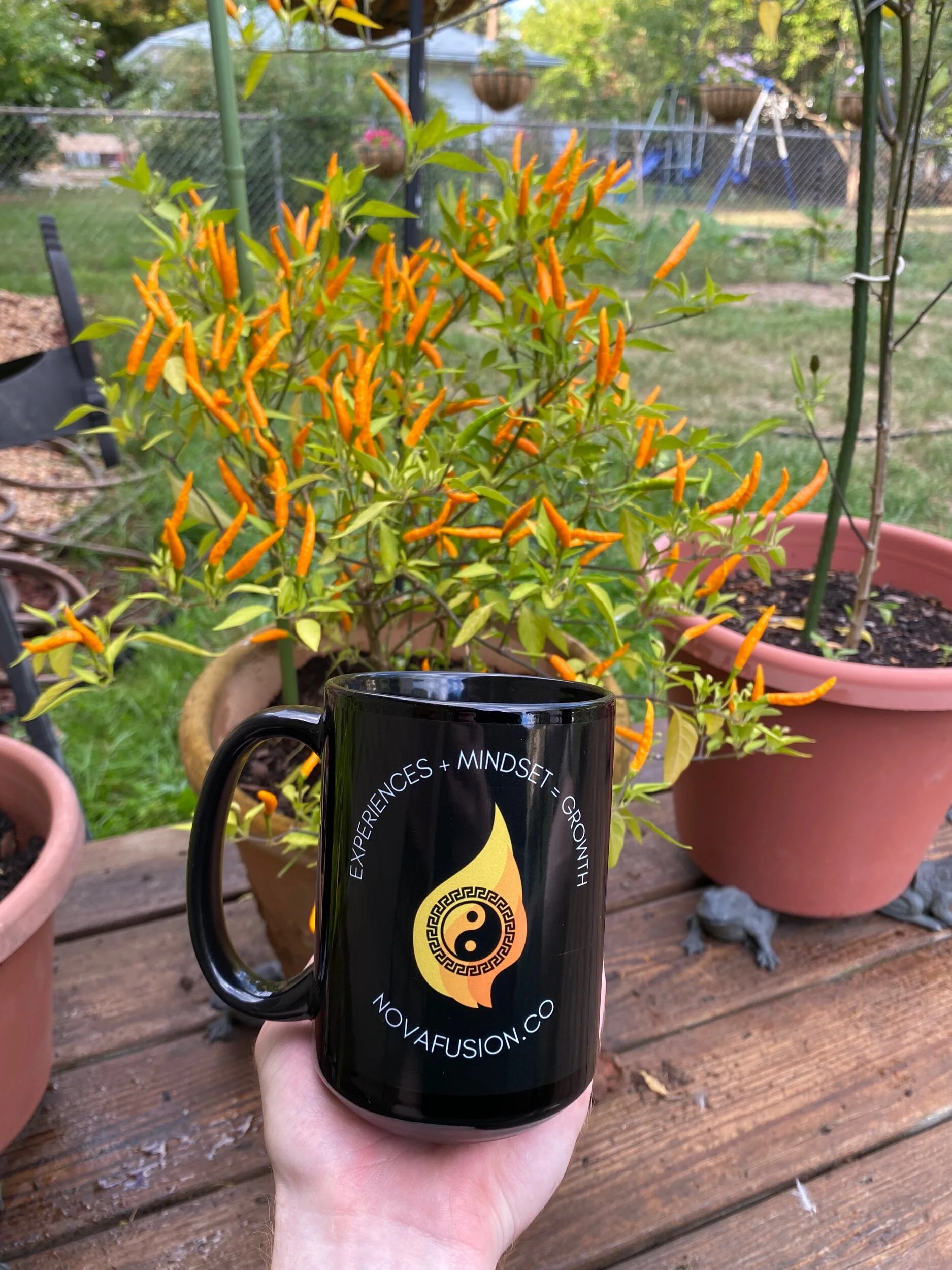 5CC1530D-2B39-4C1A-A818-1552EB6D3F1B