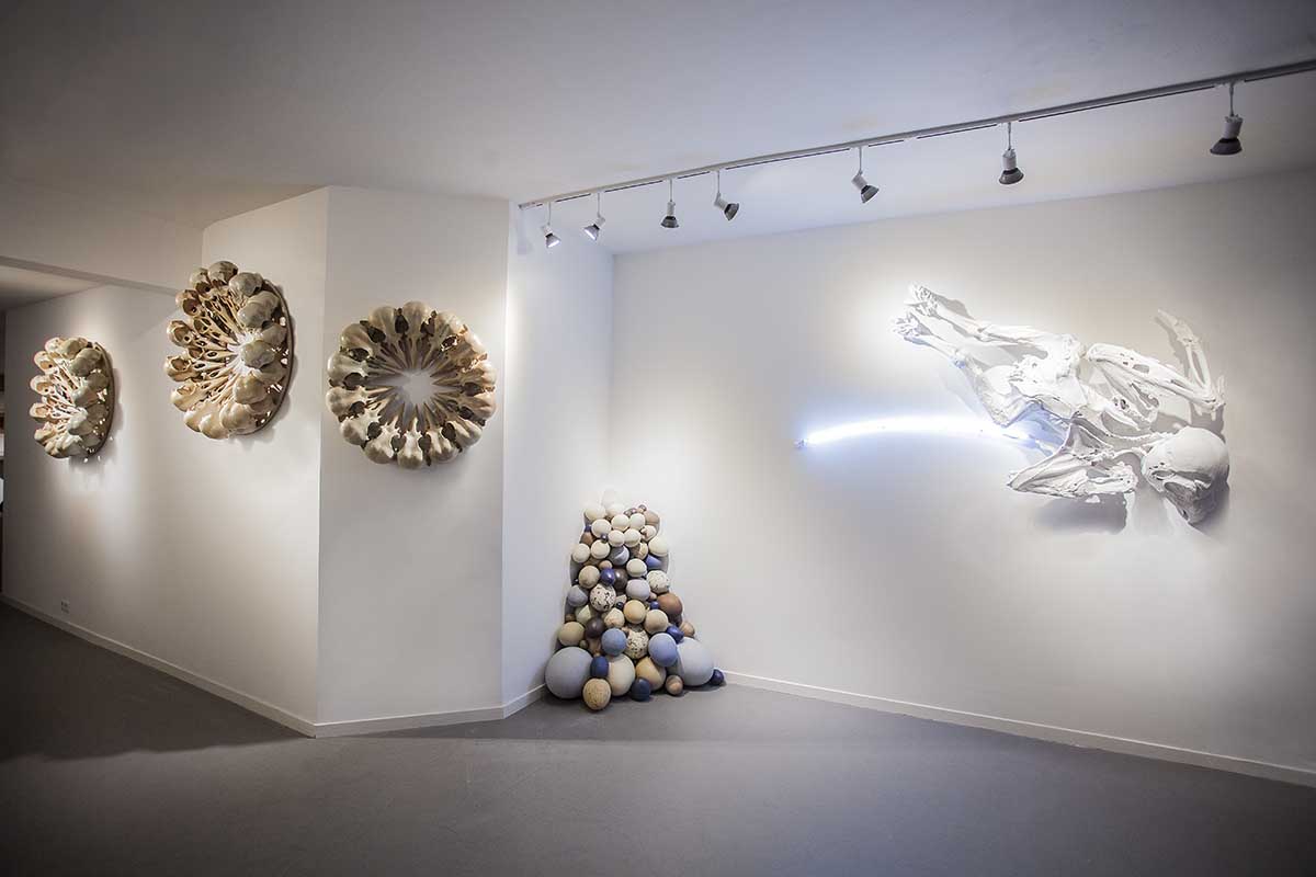 Daniel_Cavey_Feather_as_Light_Galleryright.jpg