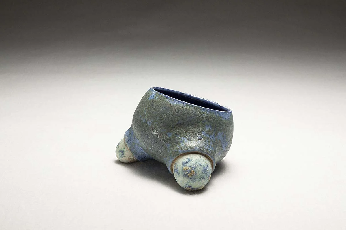 Daniel_Cavey_Blue_Footed_Series13.jpg