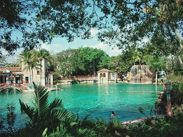 things to do: find this grotto ASAP in Miami to swim in🦎🐬