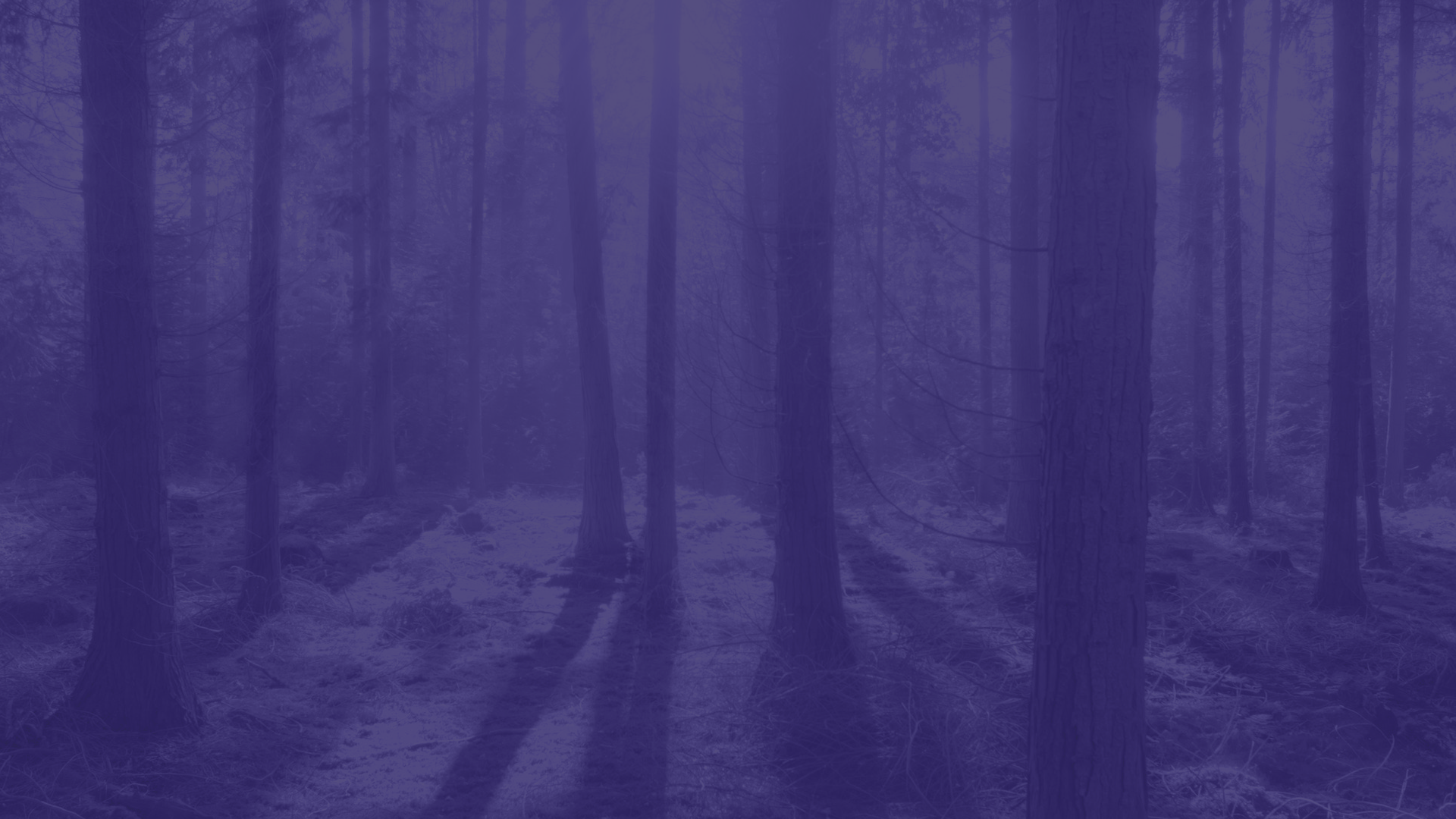 pexels-photo-240040.png
