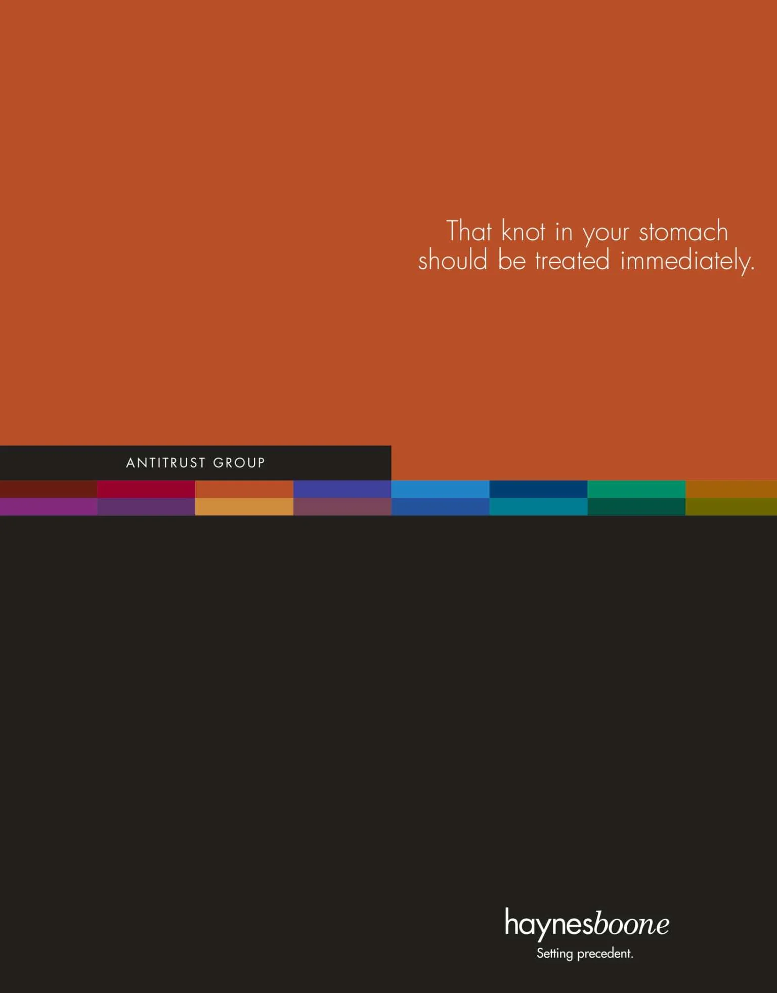 latest-antitrustbrochure-1.jpg