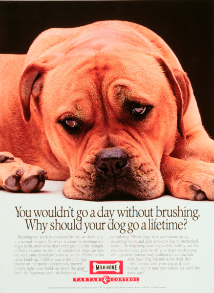 milkbone-brush.jpg