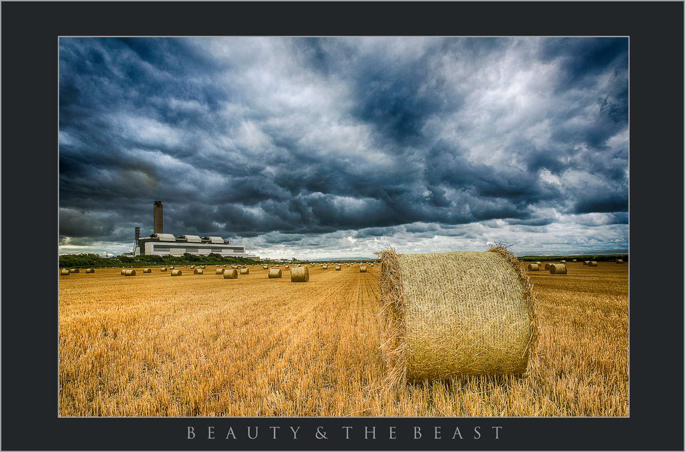 BEAUTY AND THE BEAST;LANDSCAPE PHOTOGRAPHY IN VALE OF GLAMORGAN; IMAGES OF THE VALE OF GLAMORGAN; VALE BEACHES; WALES COASTAL PATH; SOUTH WALES LANDSCAPE PHOTOGRAPHY.jpg