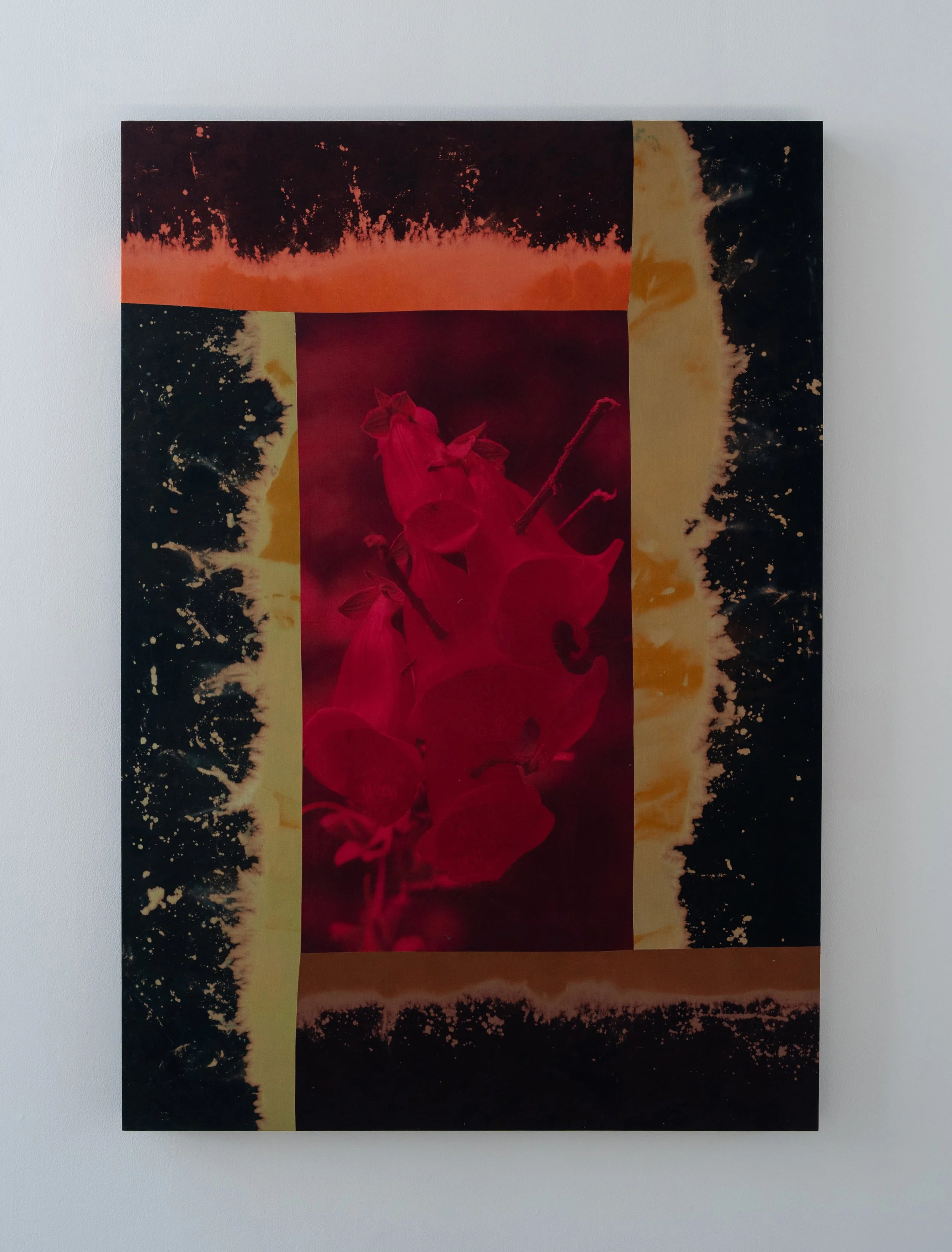 11_guillaume_adjutor_provost_2025_remix.jpg