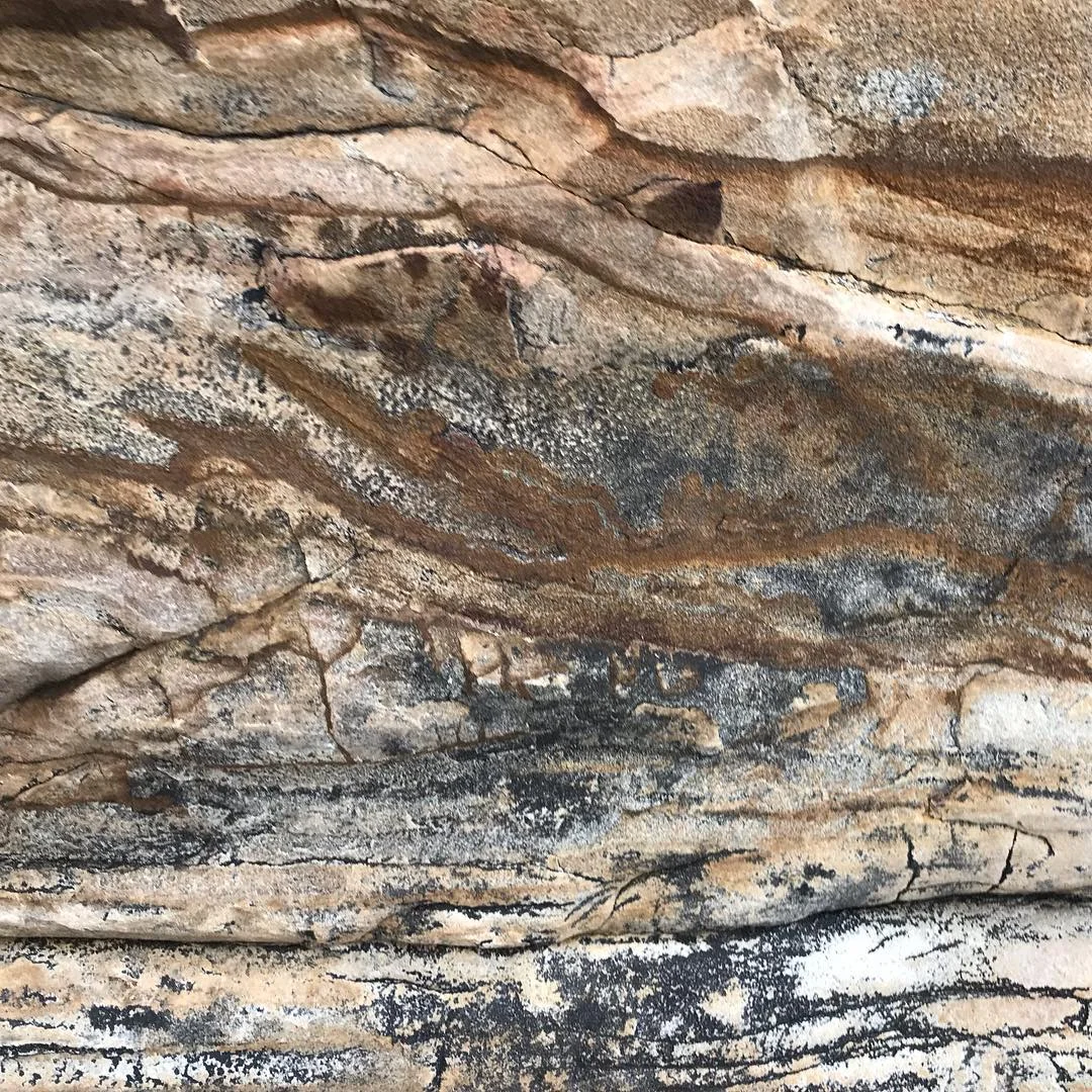 nuttallsandstone.jpg