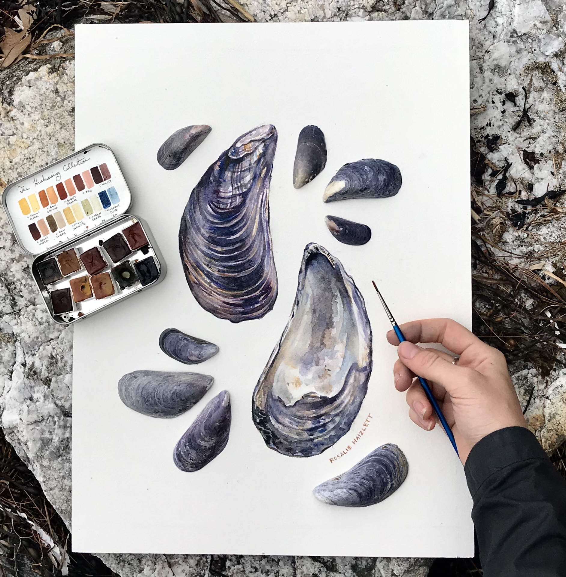 Blue mussels!