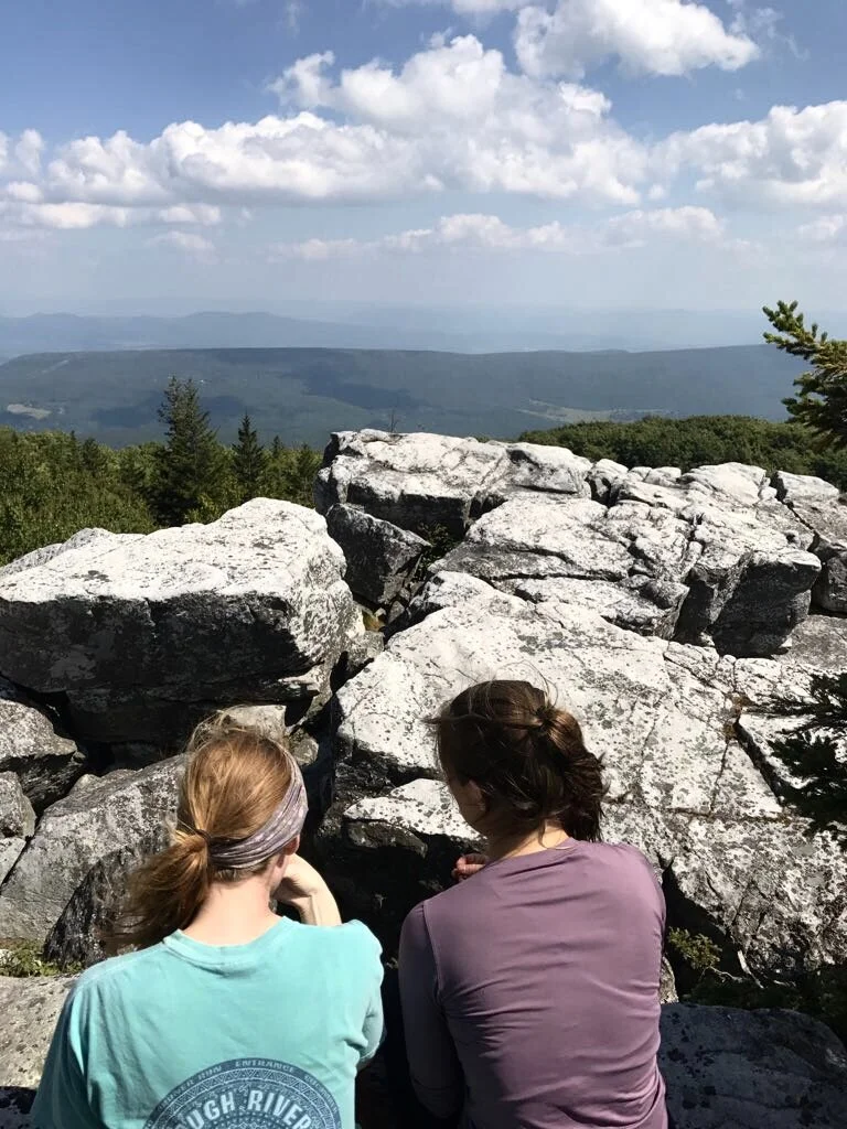 The iconic rocky view from Bear Rocks.