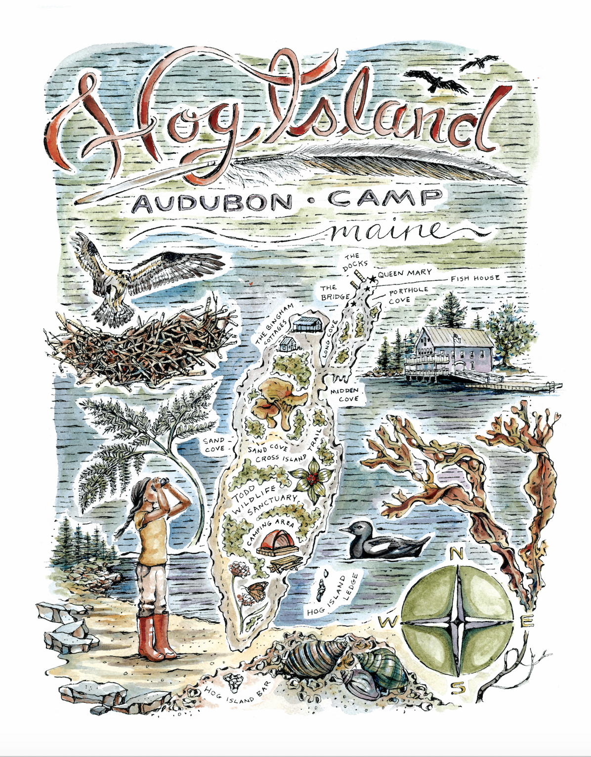 Created during my artist residency on Hog Island with the National Audubon Society in 2019