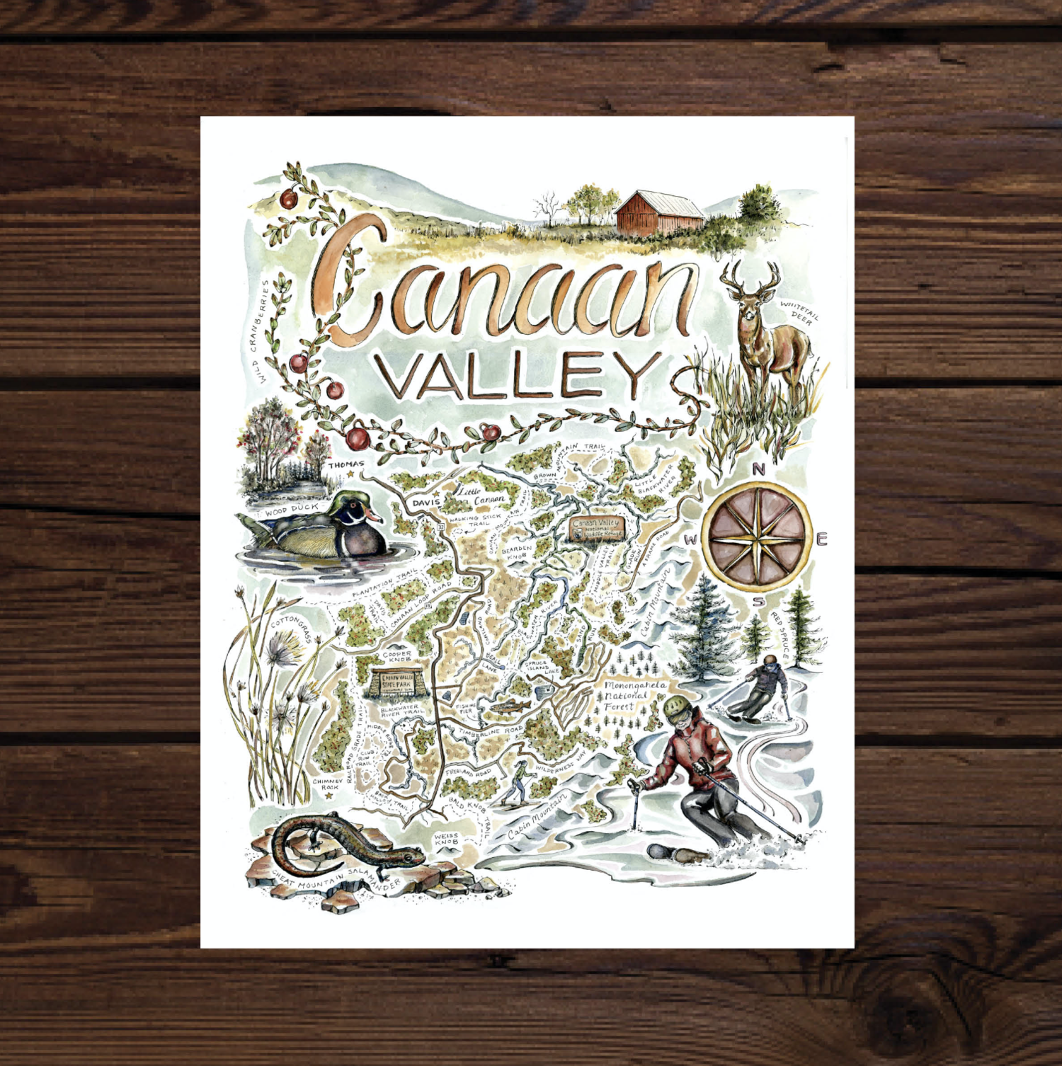 Illustrated hiking map of Canaan Valley, West Virginia.