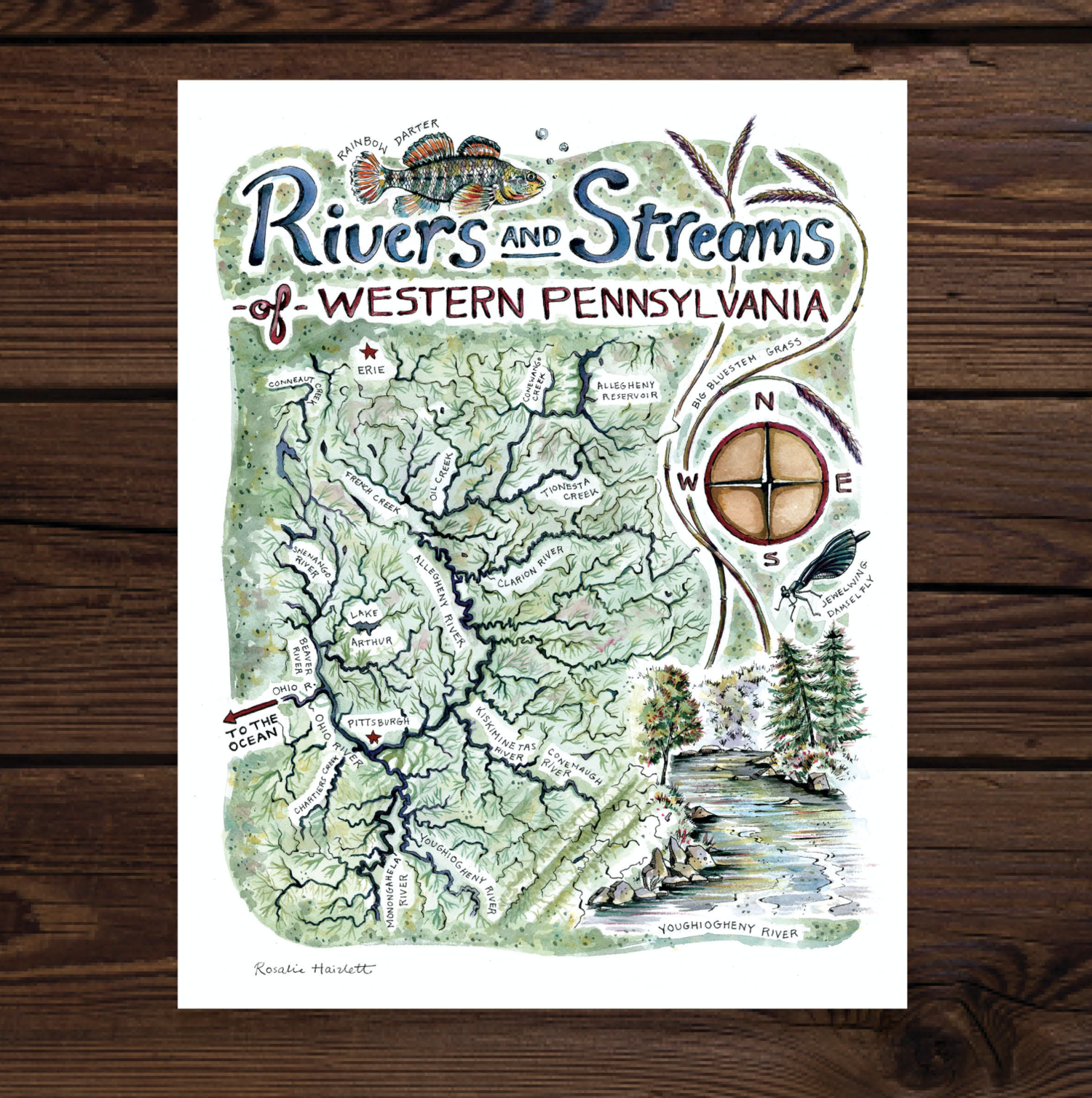 Illustrated map of the watersheds of Western Pennsylvania for Dancing Gnome Brewery
