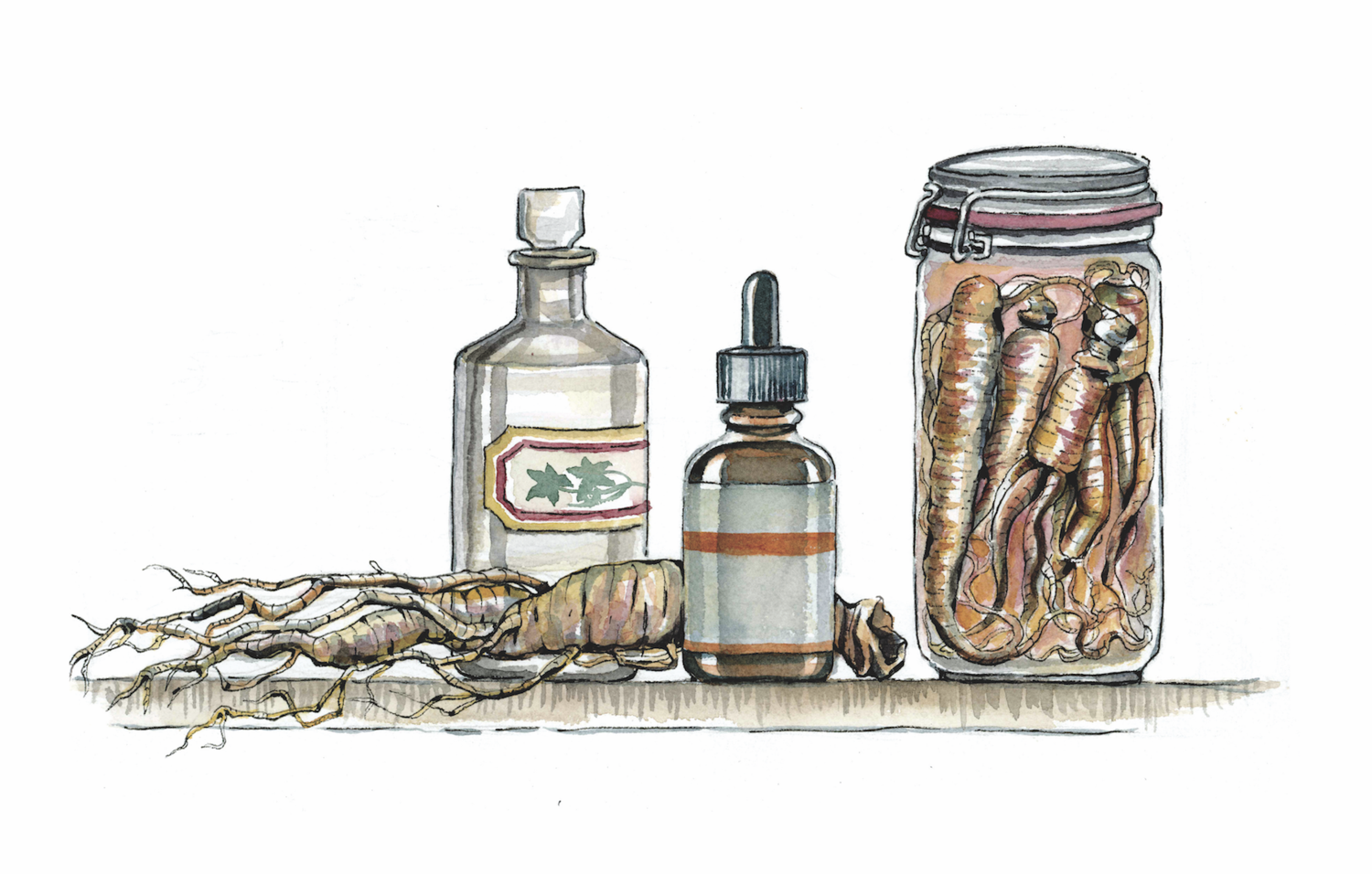 A collection of preserved ginseng roots and tinctures to show the medicinal uses of ginseng across time and cultures.