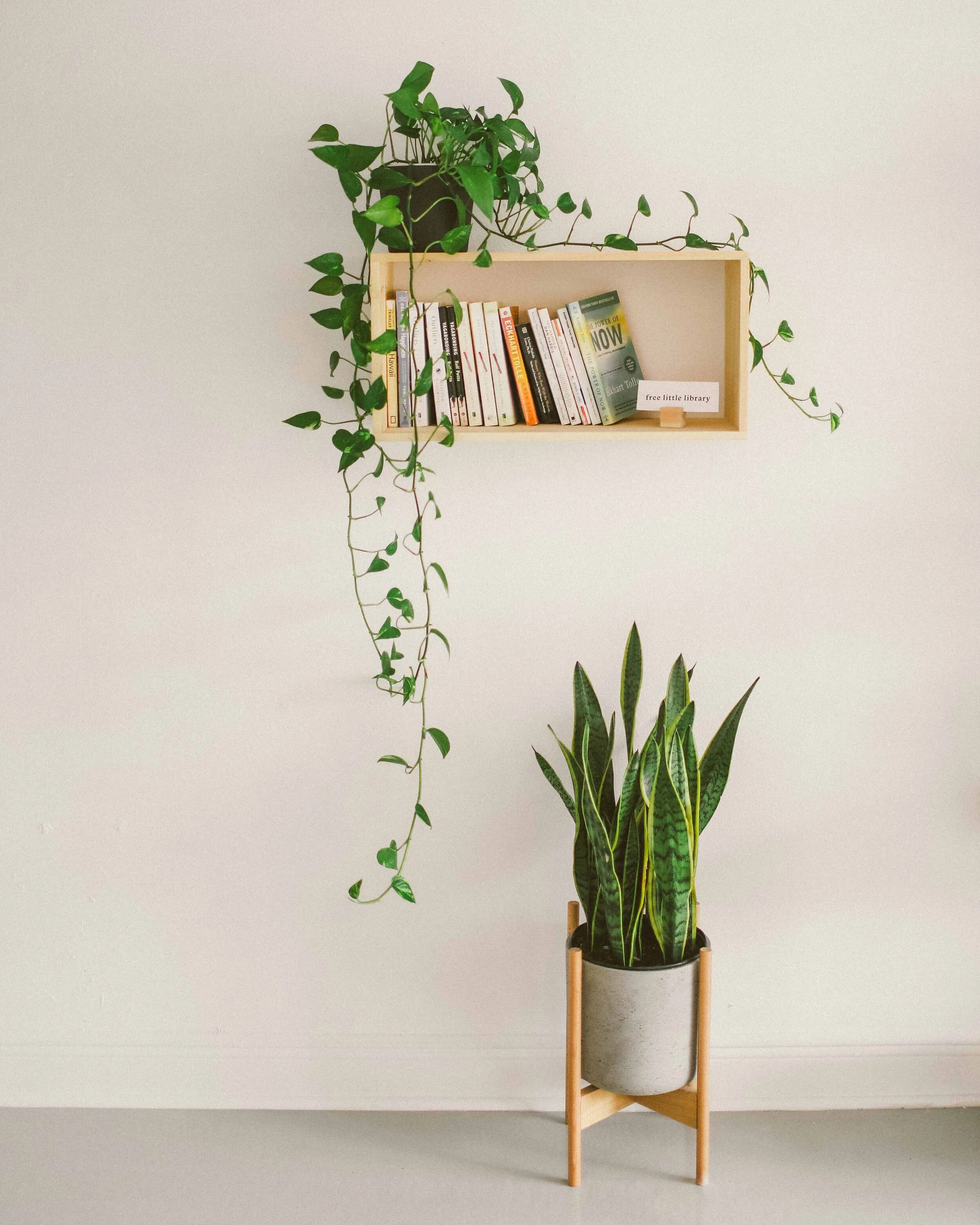 Solace Sauna Studio - Image 25