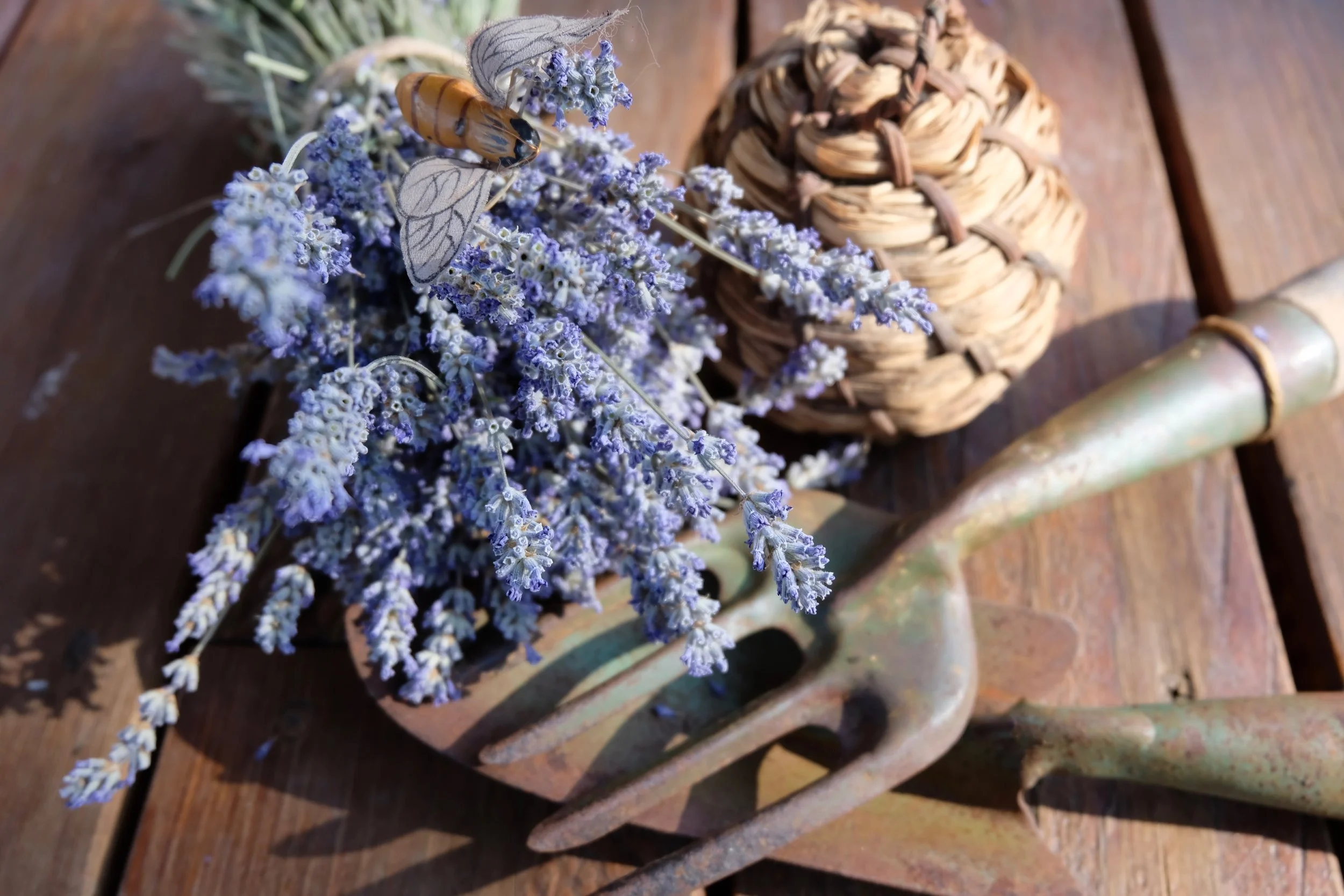 Do you love what you do each day?