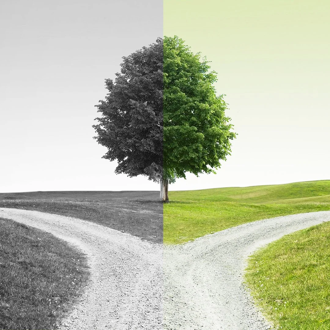 Walk with Him: Learn to Fail Well