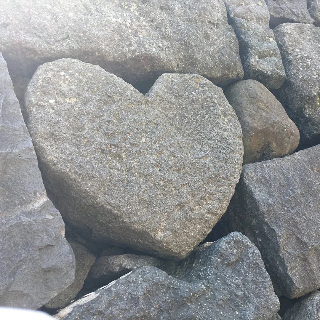 Walk with Him: We are the Guardians of Our Hearts