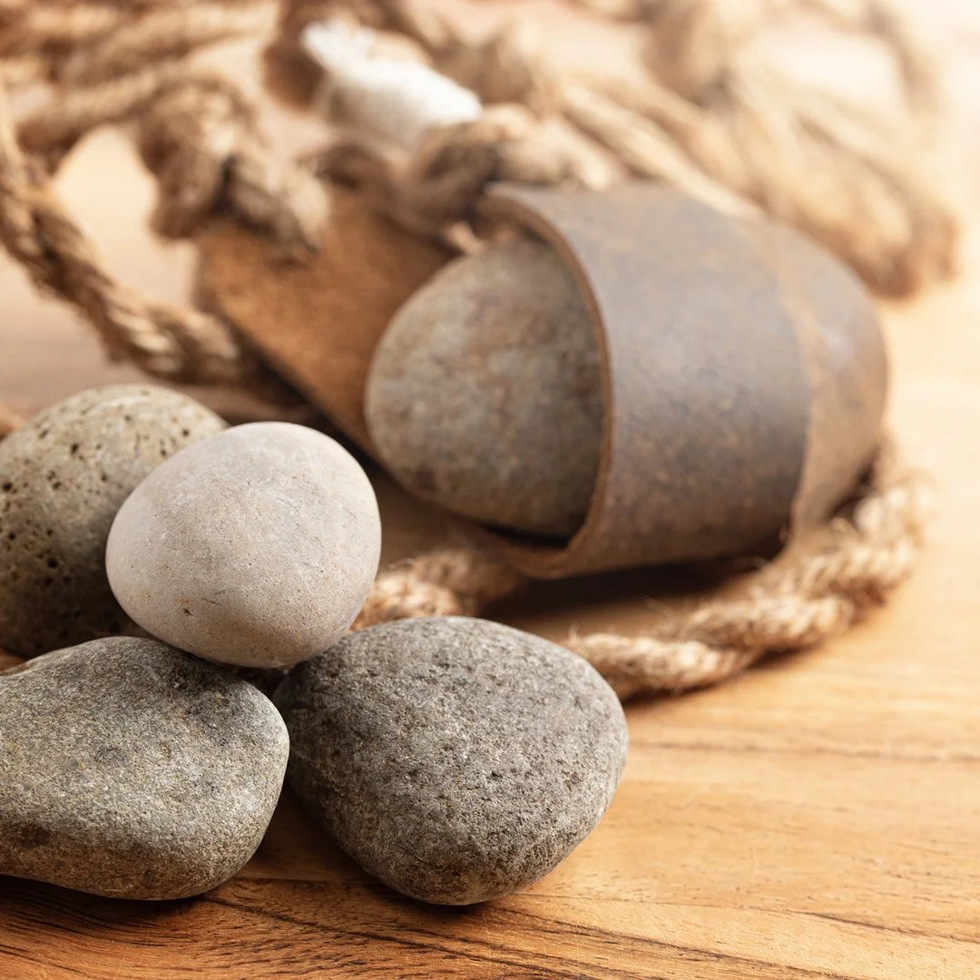                                                           Walk With Him: Five Stones &amp; A Sling