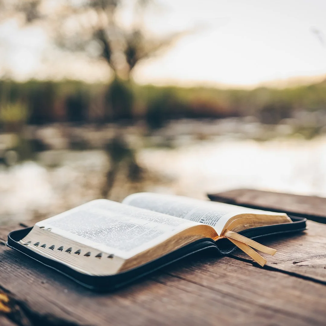                                                 Walk with Him: Scriptures Tether Us to Him
