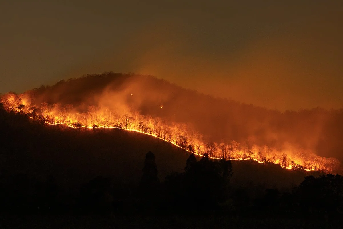Fires burns on a hillside, at dusk. The distinct burn line can be seen across the hill with flames and smoke rising to the sky.