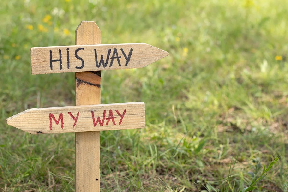 Wooden stake sign in grass with one direction pointing right and says "His Way" referring to Jesus. And another arrow pointing left saying "My Way".