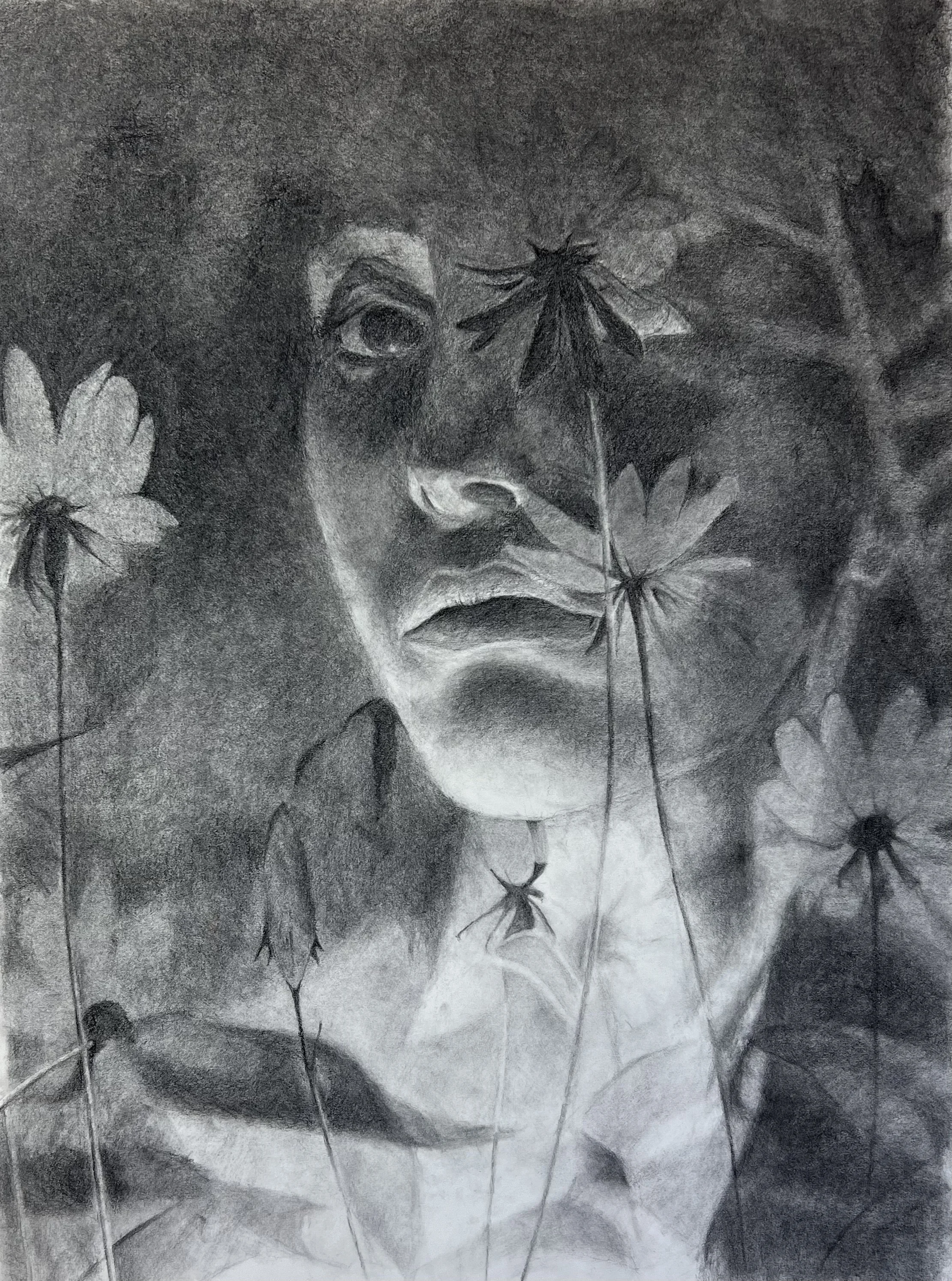 Rooted (2023), Charcoal on Paper, 36x24