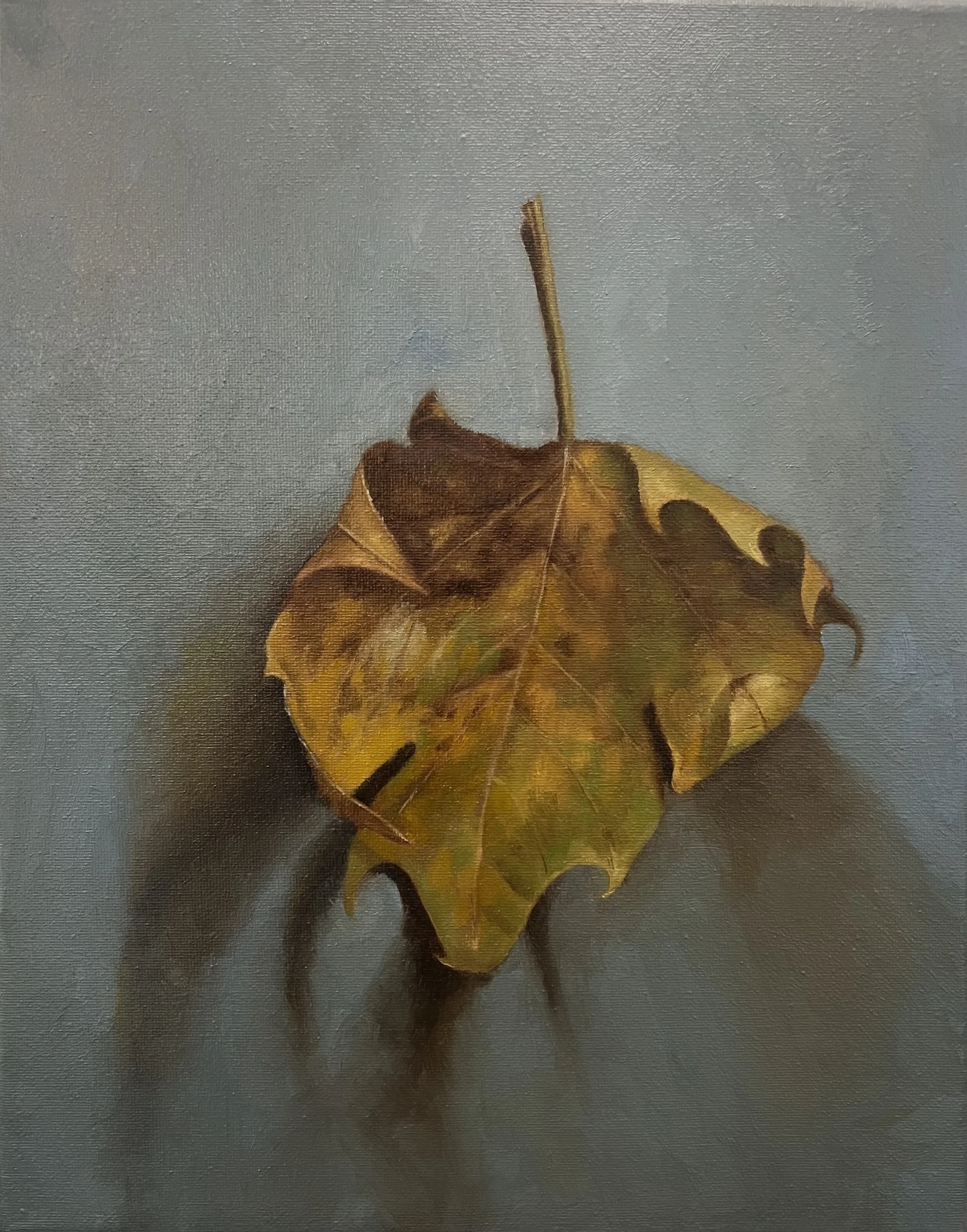 Maple Leaf (2024), Oil on Canvas, 14x11